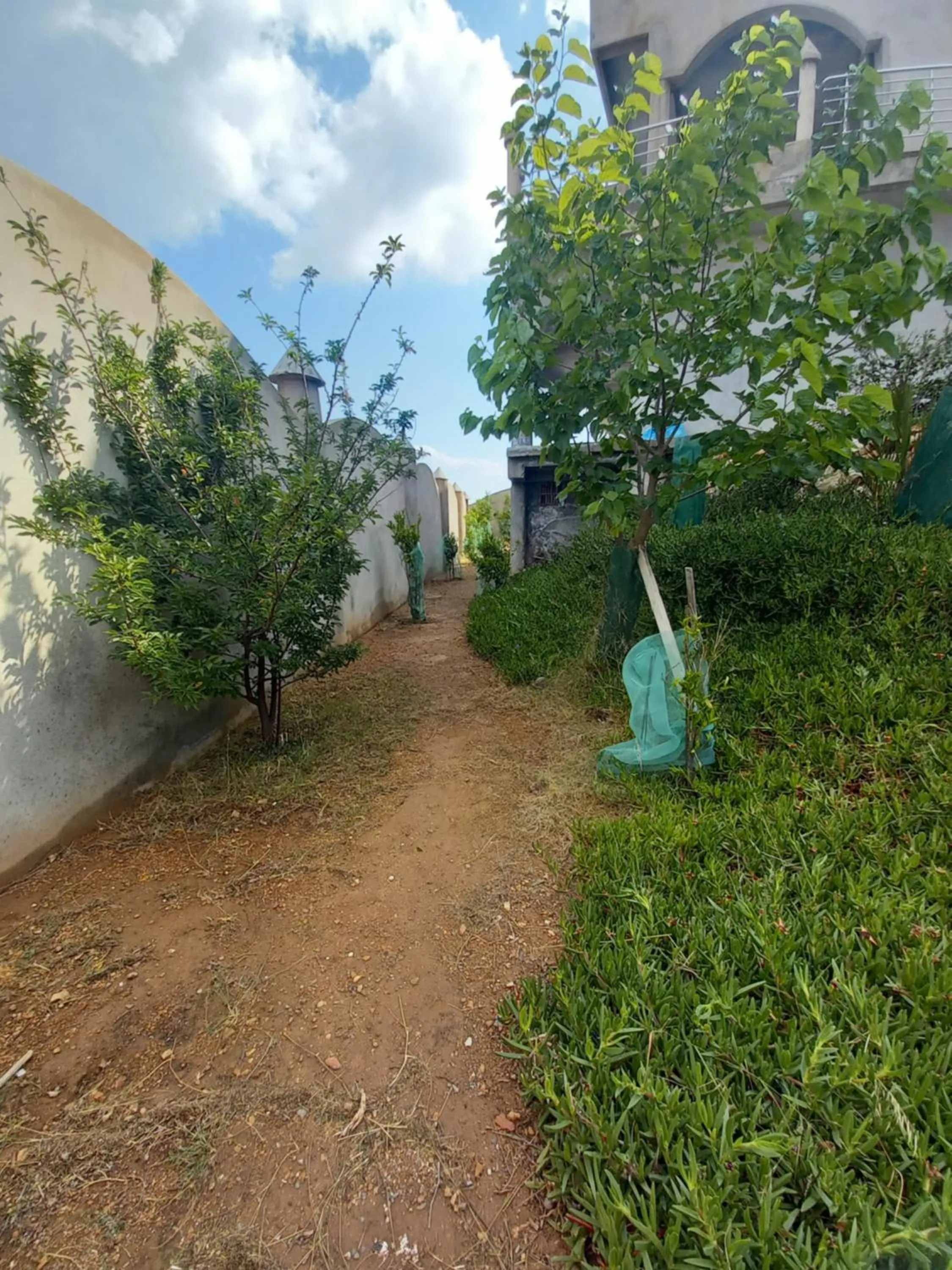 Garden in MAISON D’HÔTE LES TORTUES -