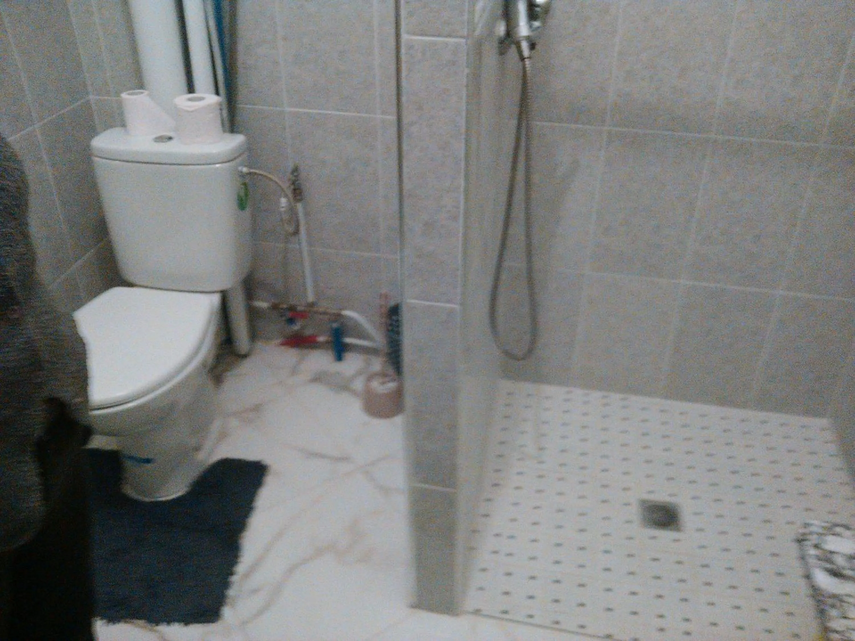 Shower in MAISON D’HÔTE LES TORTUES -