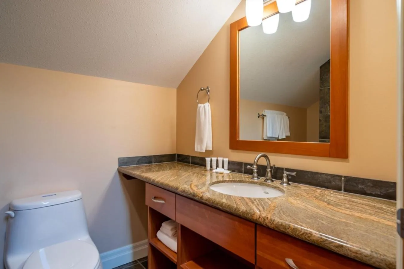 Bathroom in Halcyon Hot Springs Resort