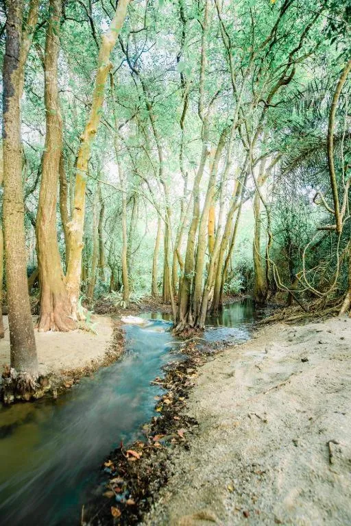 KAYJAY WILD WILPATTU