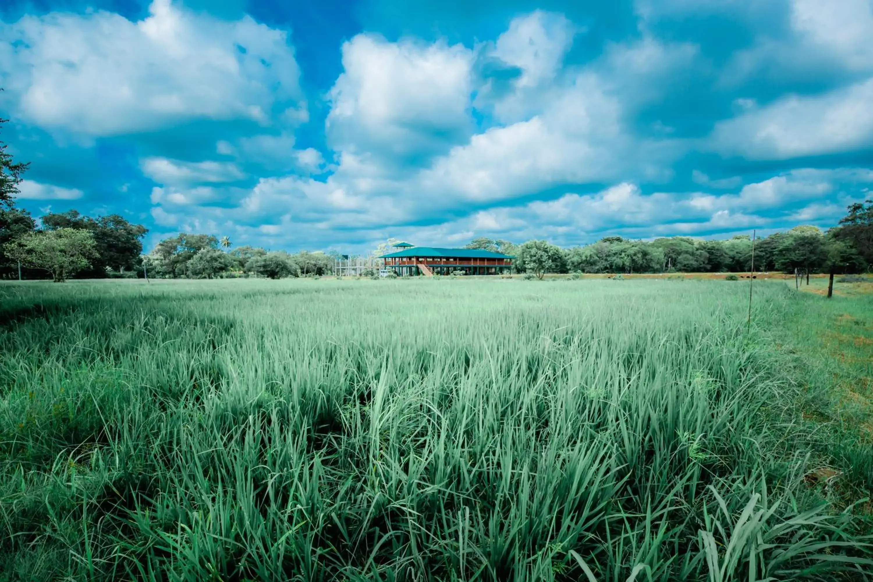 KAYJAY WILD WILPATTU KAYJAY WILD WILPATTU