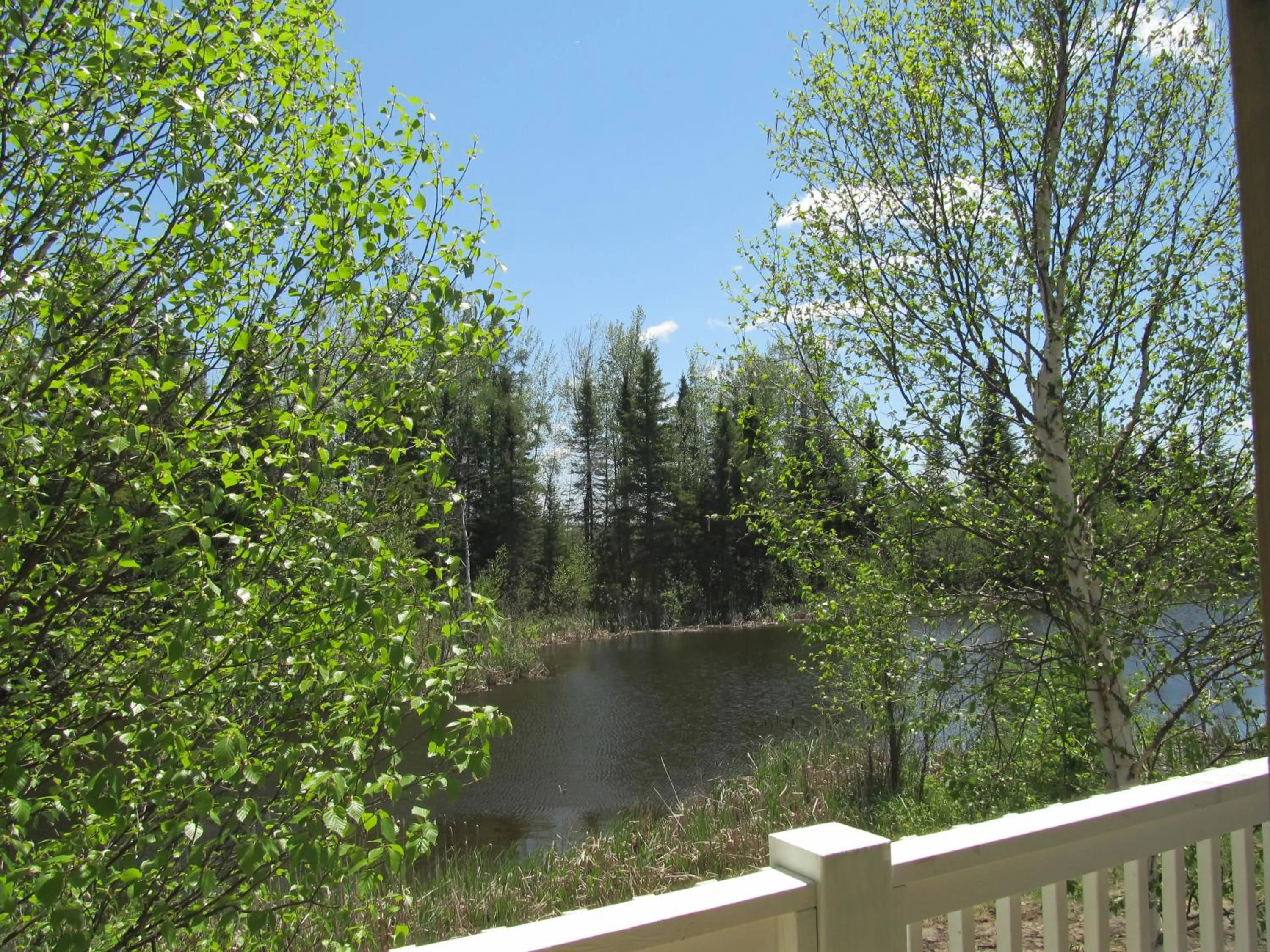 Balcony/Terrace in Cedar Meadows Resort & Spa, an Ascend Collection Resort