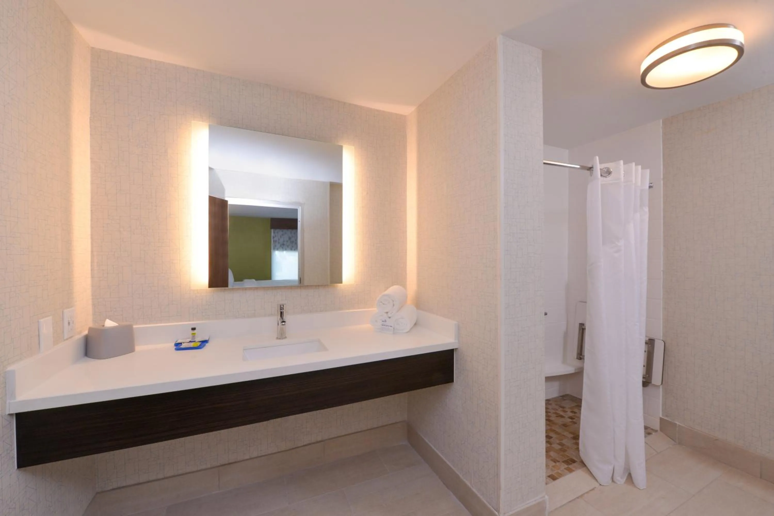 Bathroom in Holiday Inn Express & Suites - Shreveport - Downtown by IHG