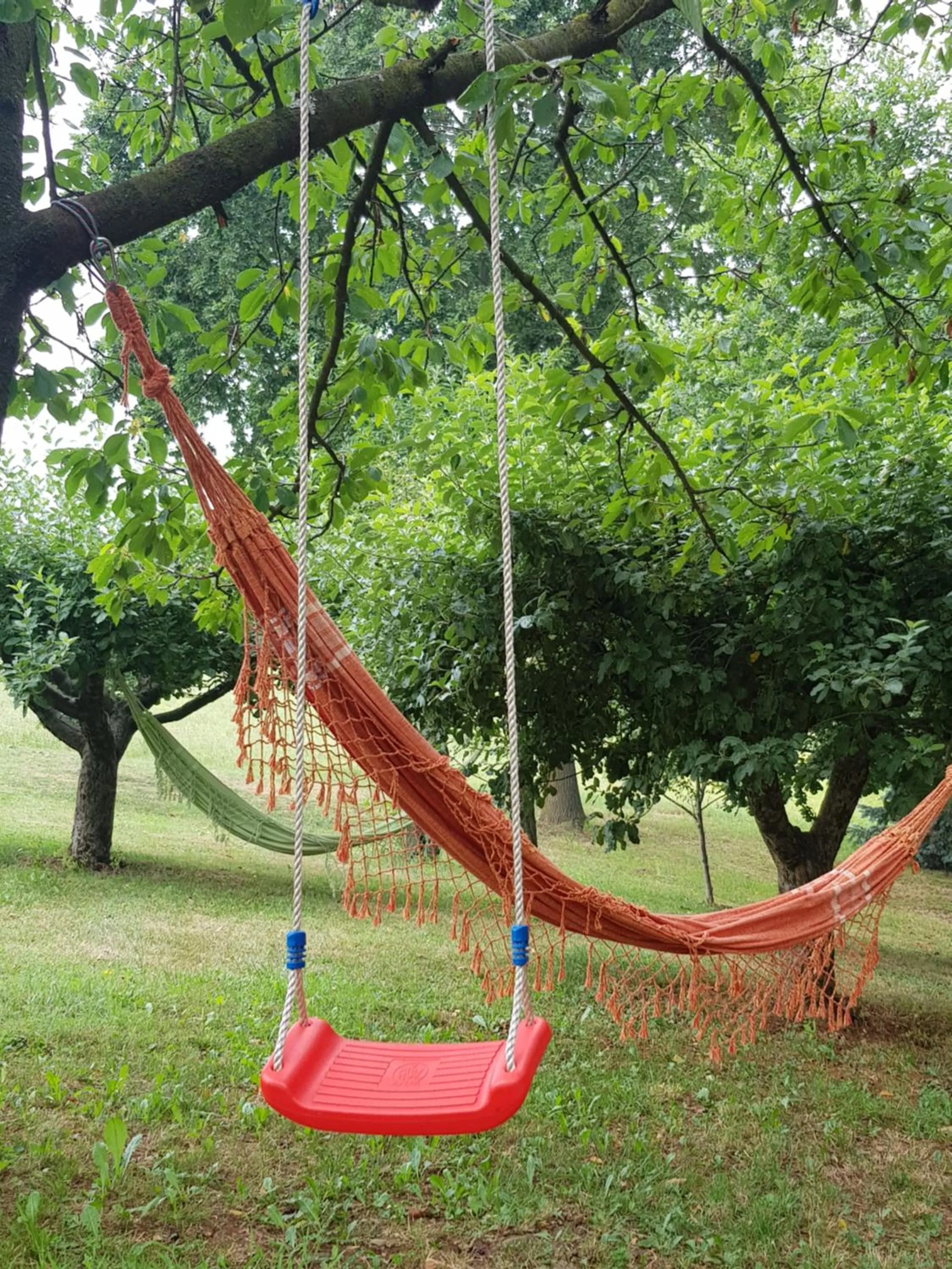 Natural landscape in Cascina Cortese