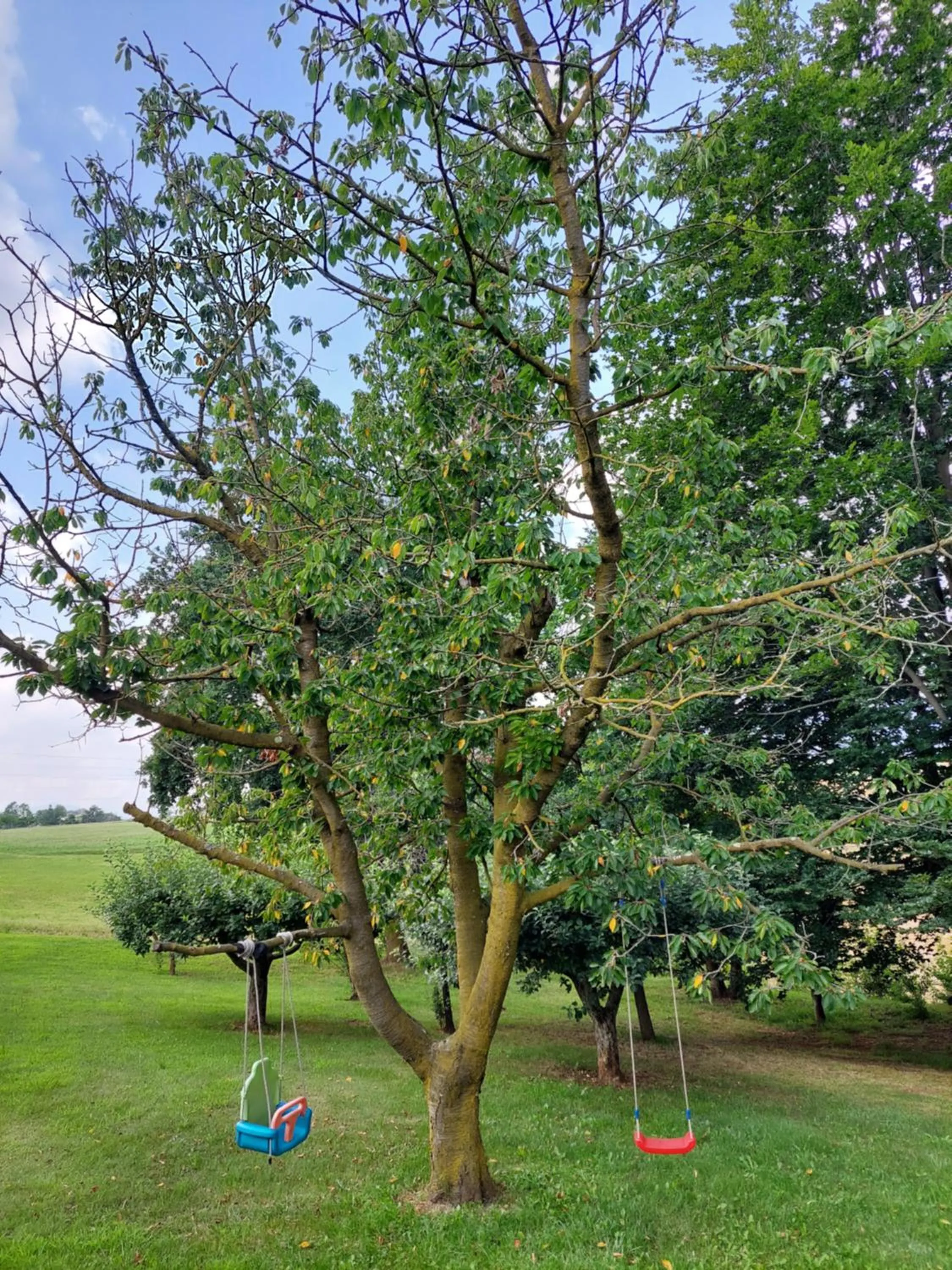 Garden in Cascina Cortese