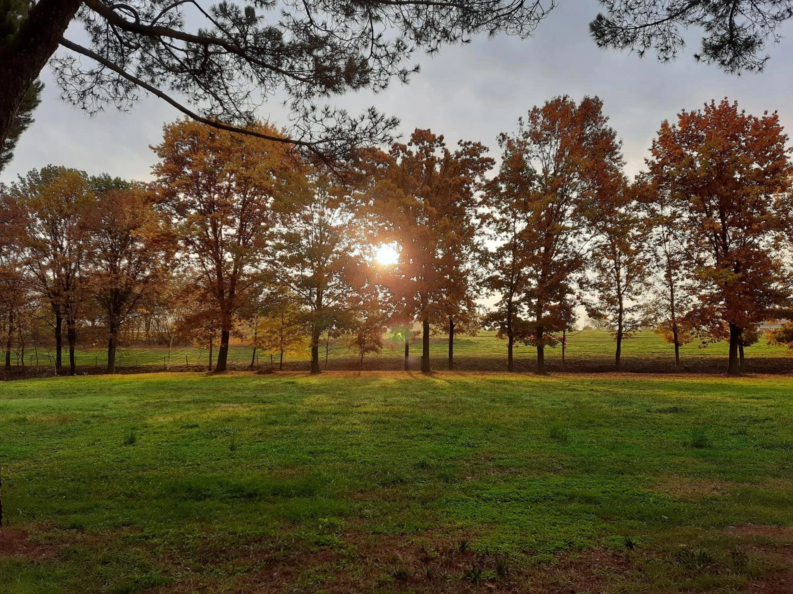 Natural landscape in Cascina Cortese