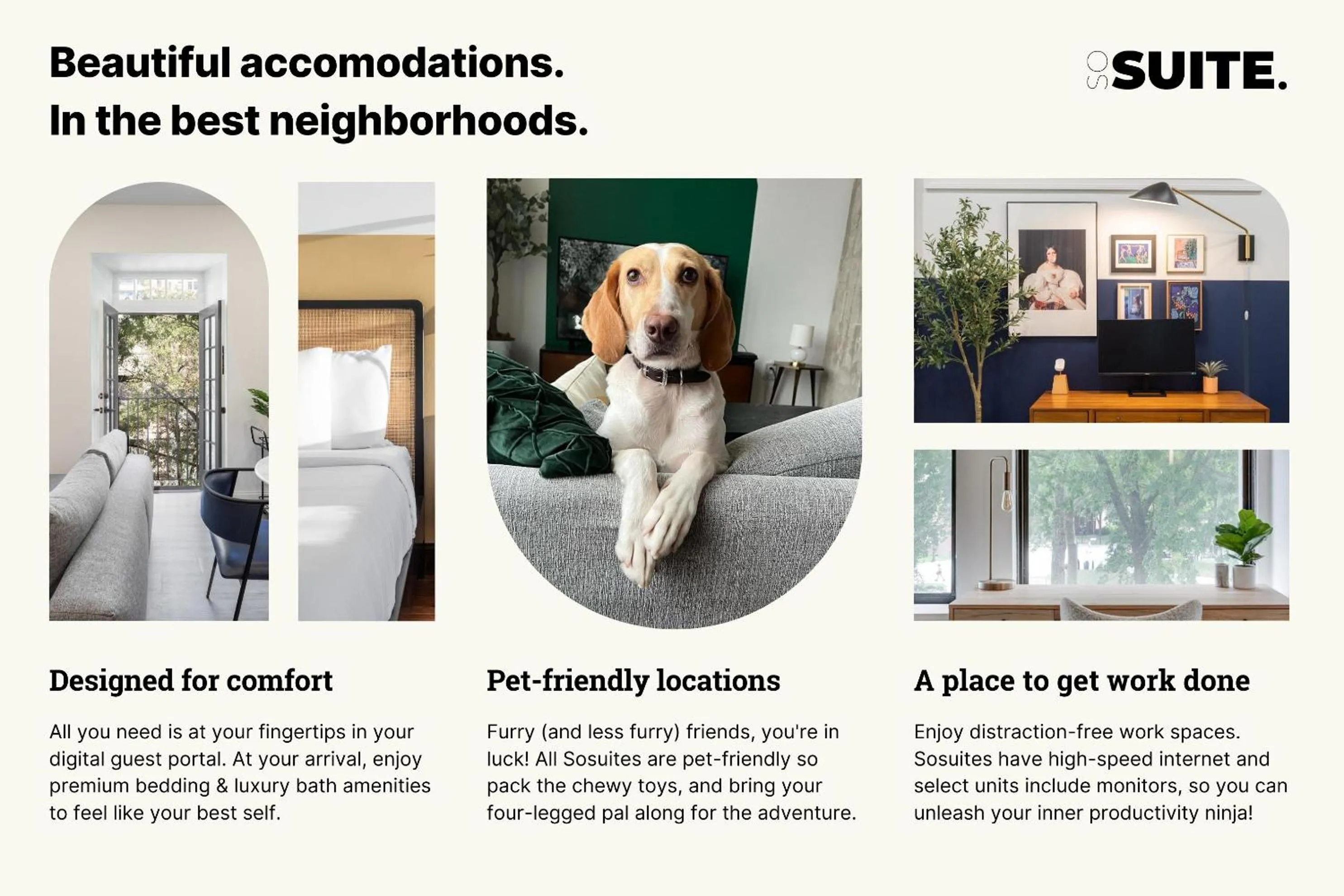 pet friendly in The Cherry Suites - Chinatown