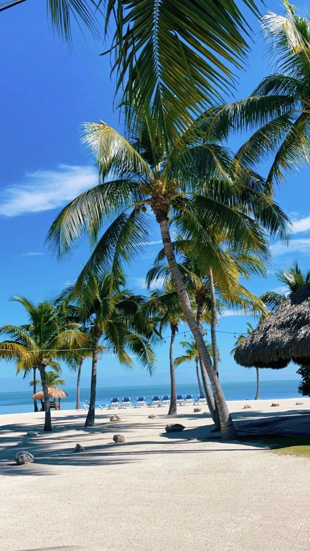 Coconut Cove Resort & Marina