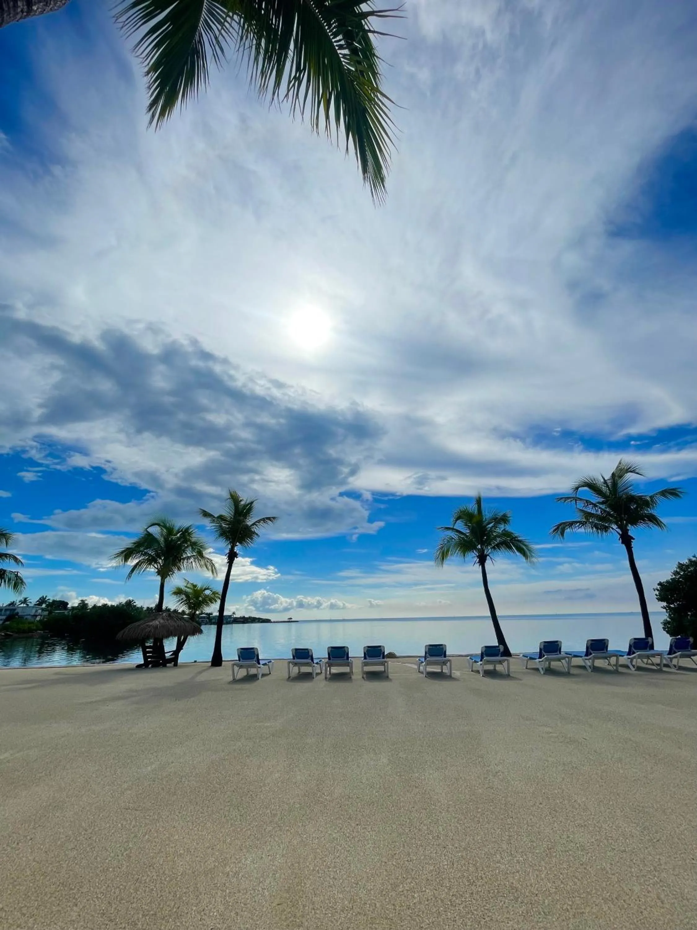 Beach in Coconut Cove Resort & Marina