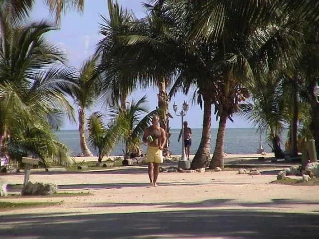 Beach in Coconut Cove Resort & Marina