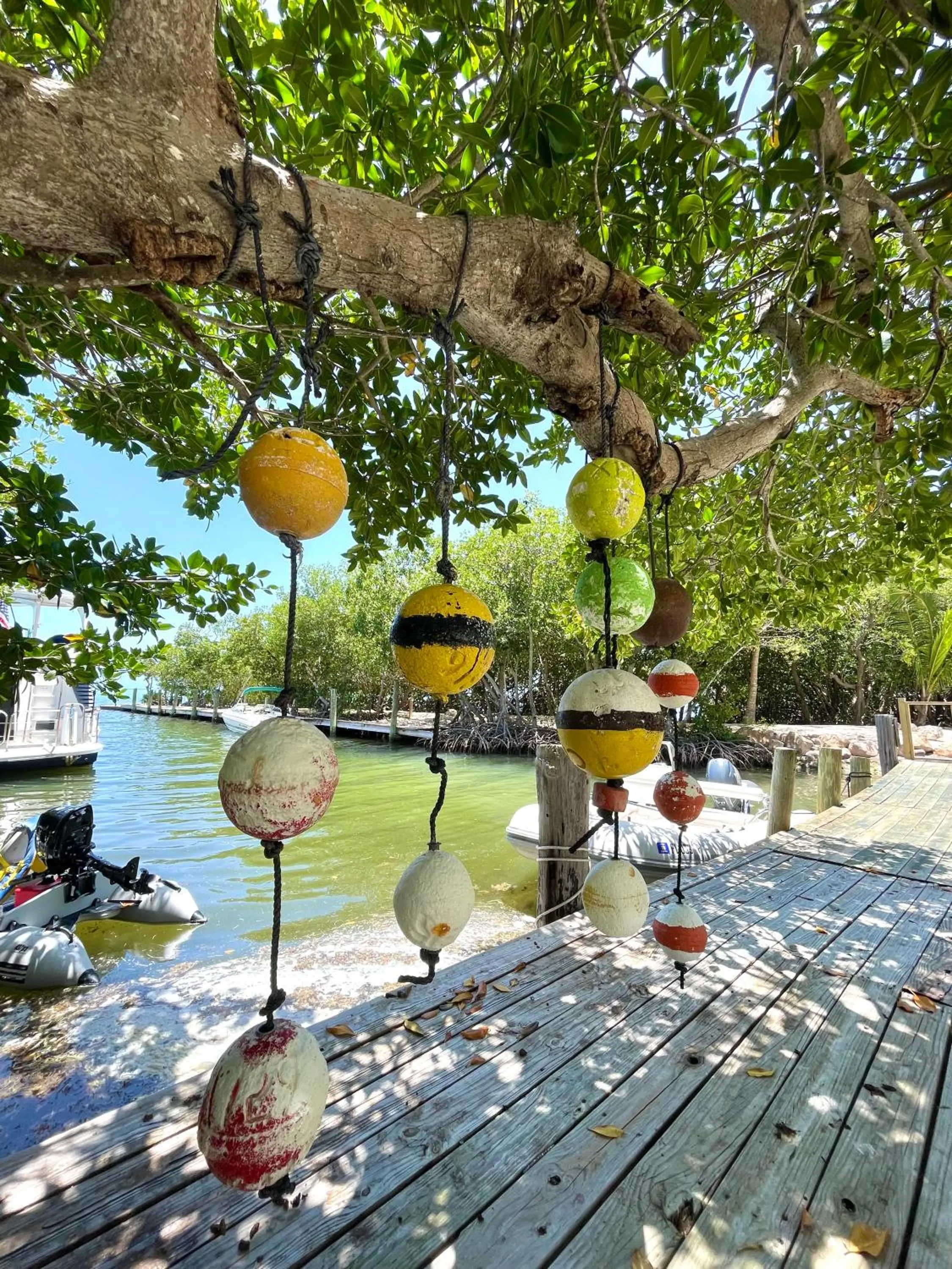 Day in Coconut Cove Resort & Marina