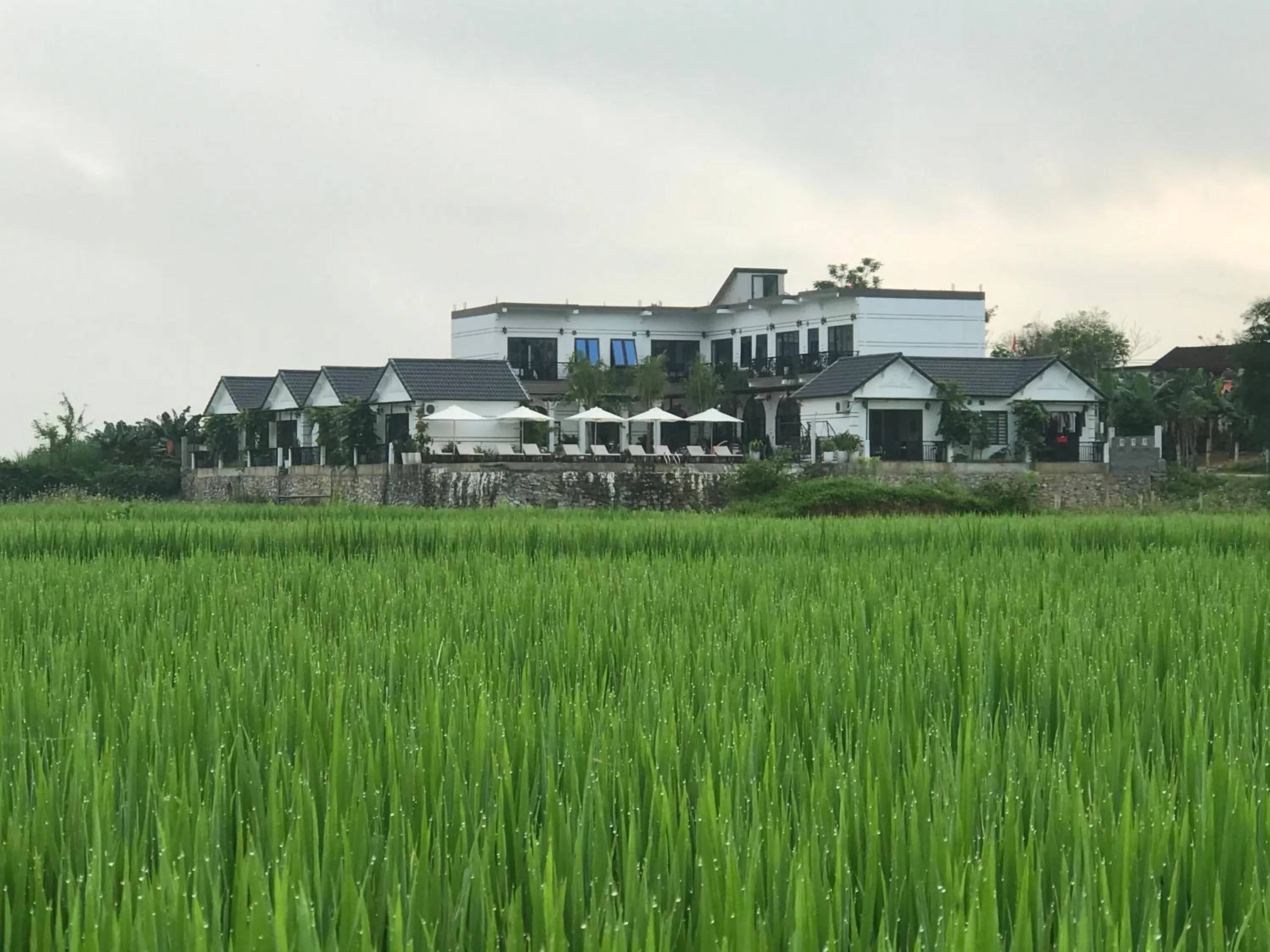 Property building in Karst Villas Phong Nha