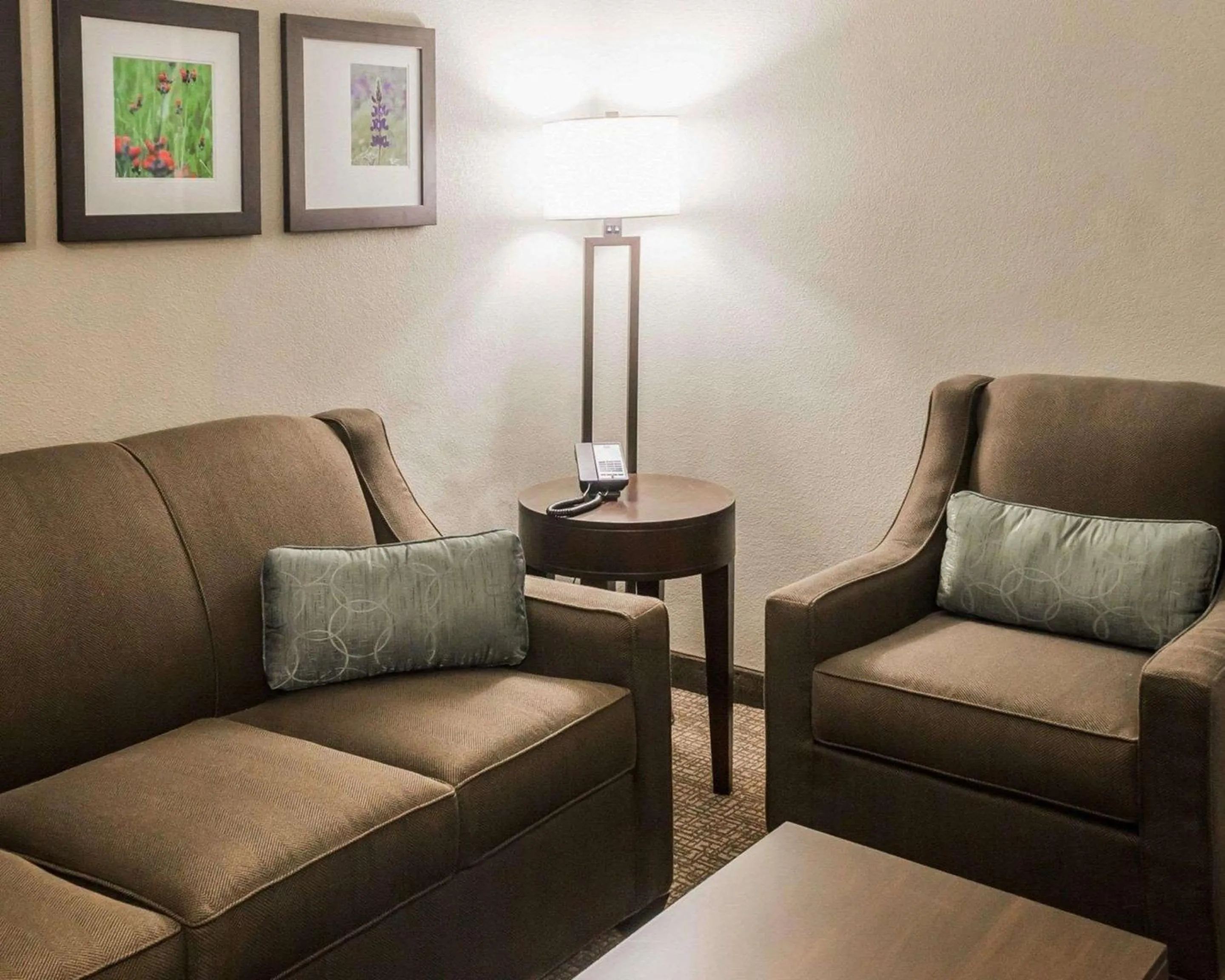 Photo of the whole room in Comfort Inn & Suites Pharr - McAllen
