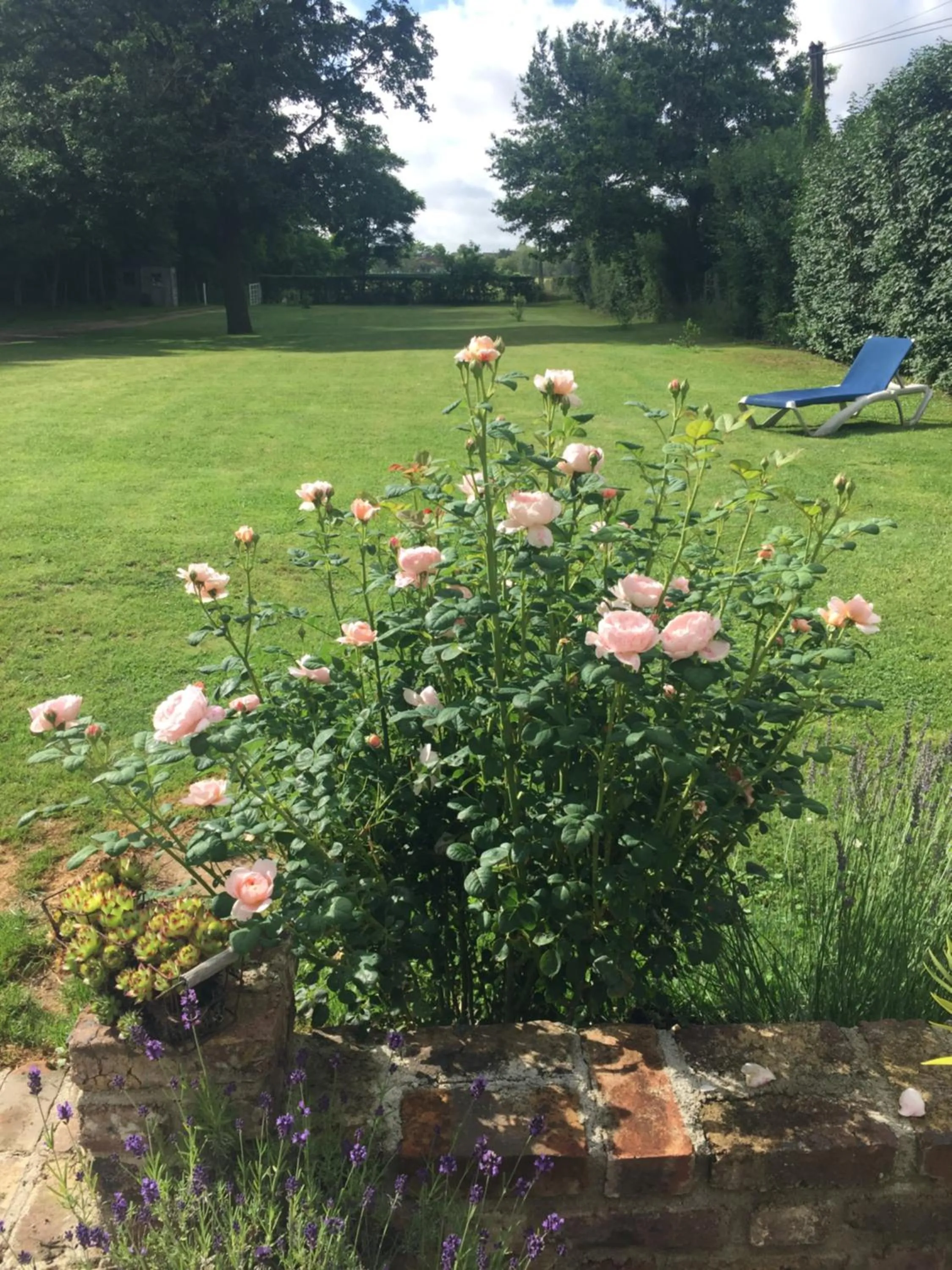 Garden in LE CLOS DU GOLF