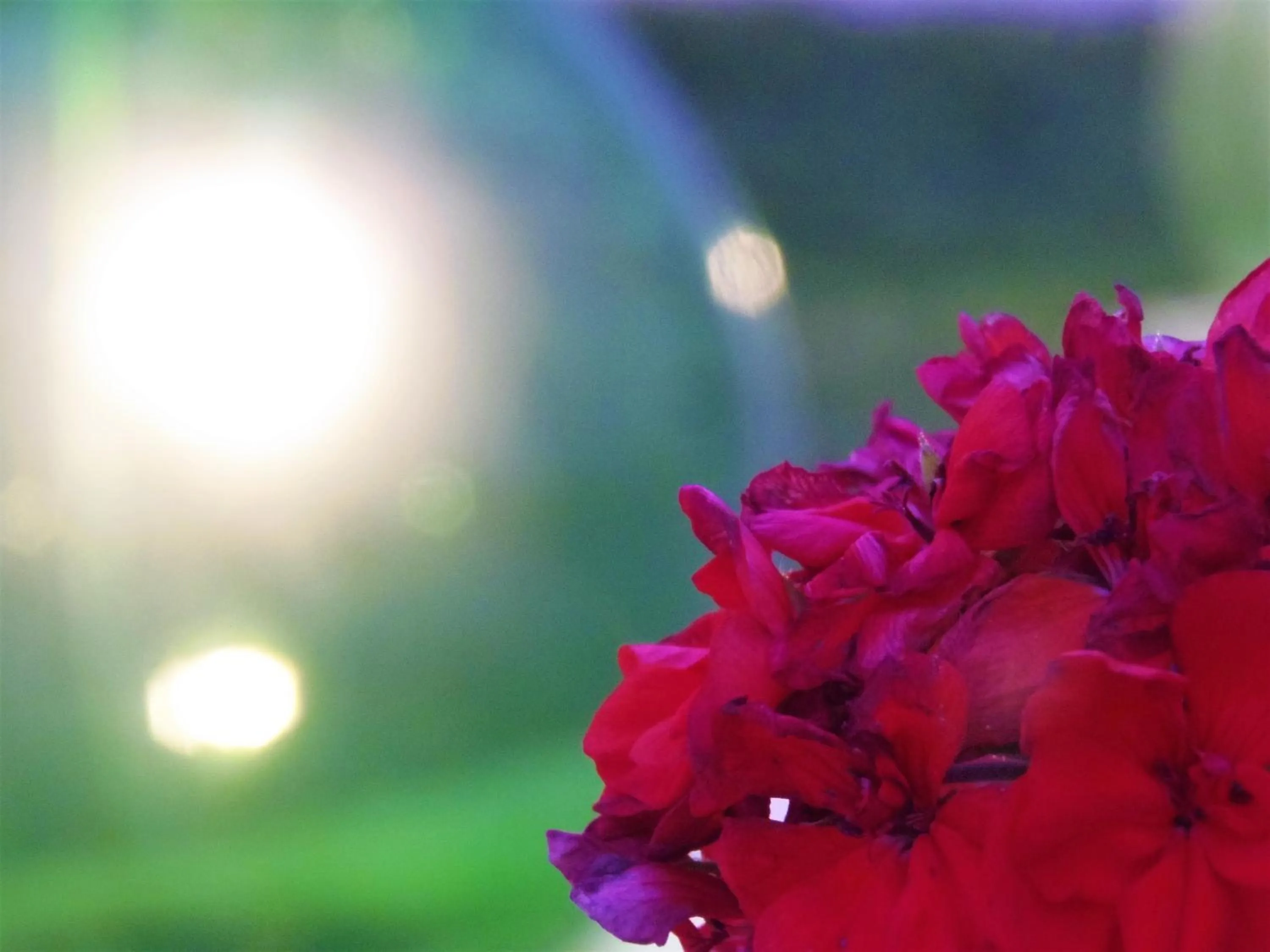 Garden in Li Perrini Boutique B&B