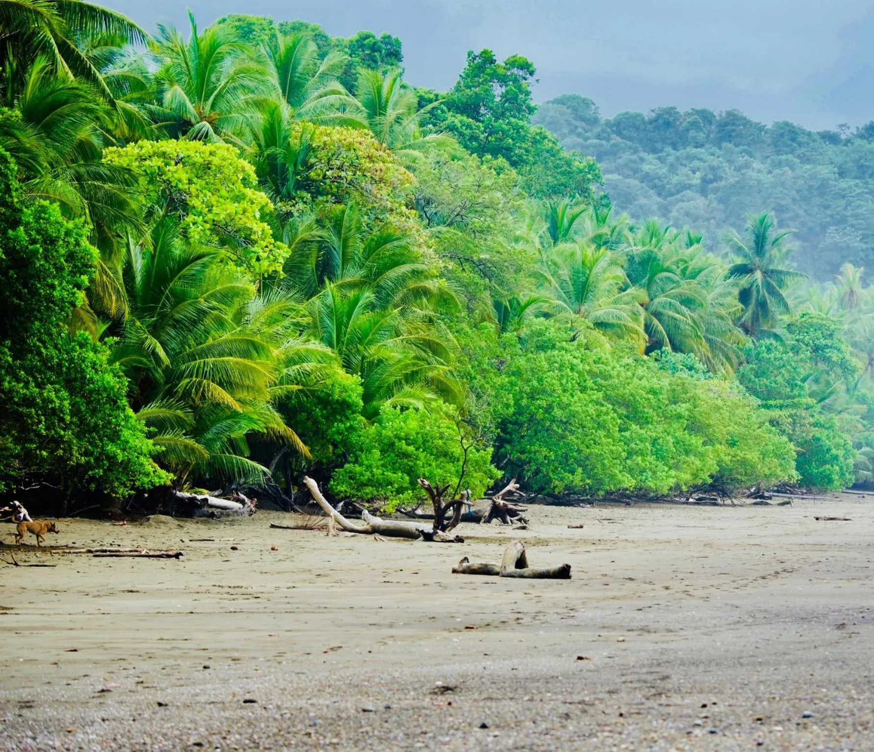 Beach in Cabinas D’Val