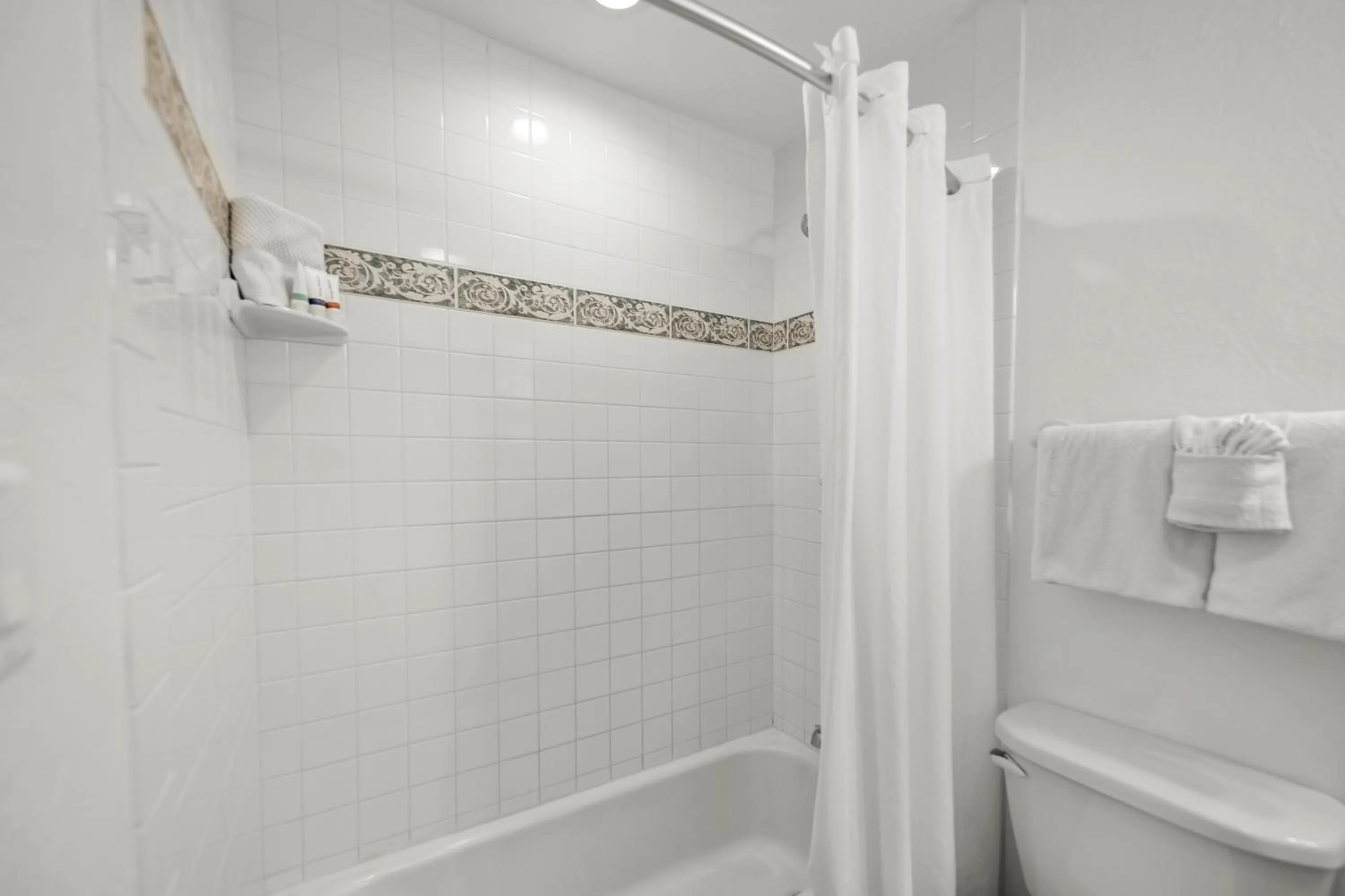 Bathroom in Tropic Isle At Anna Maria Island Inn