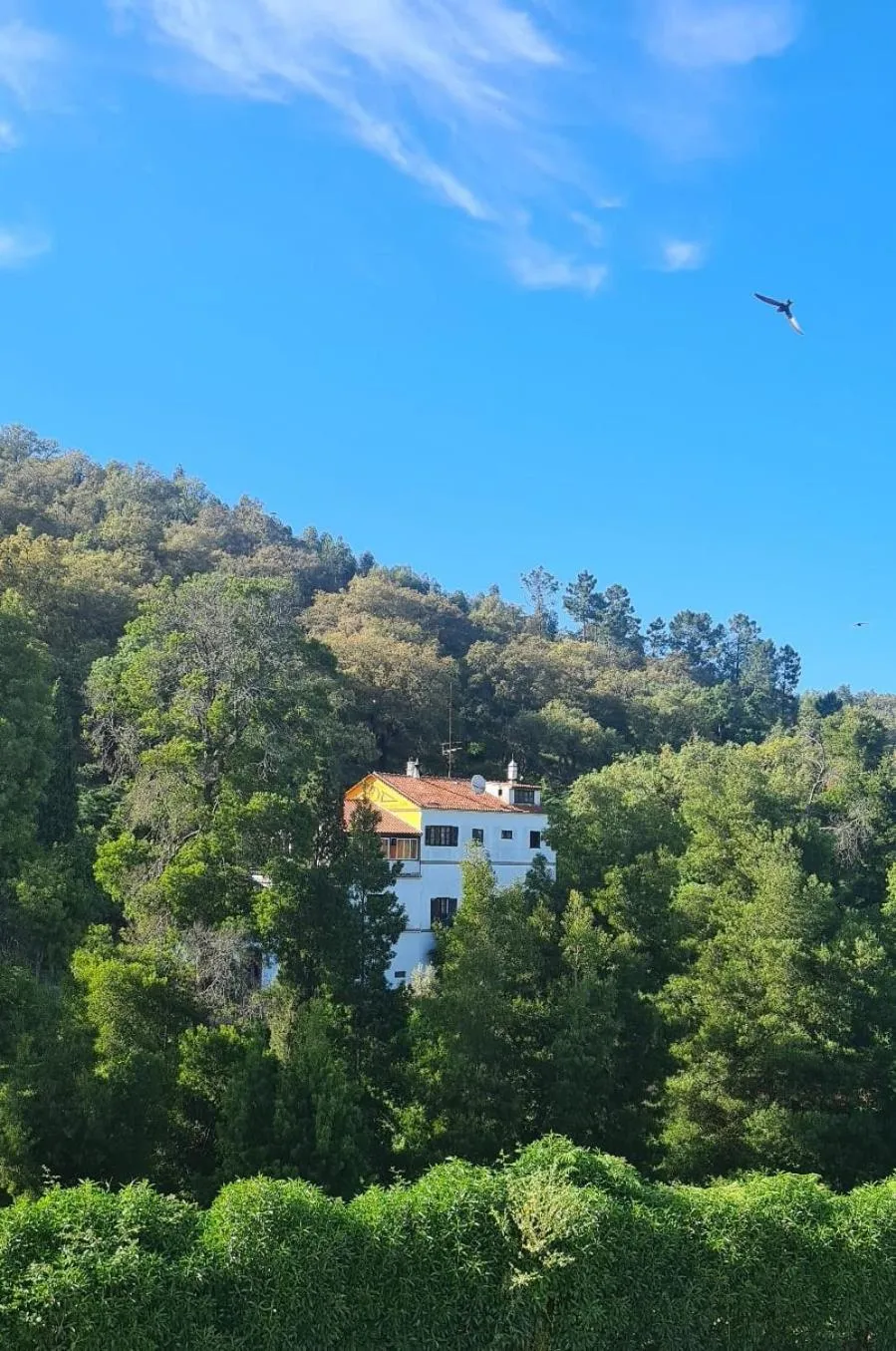 Property building in Bica Boa