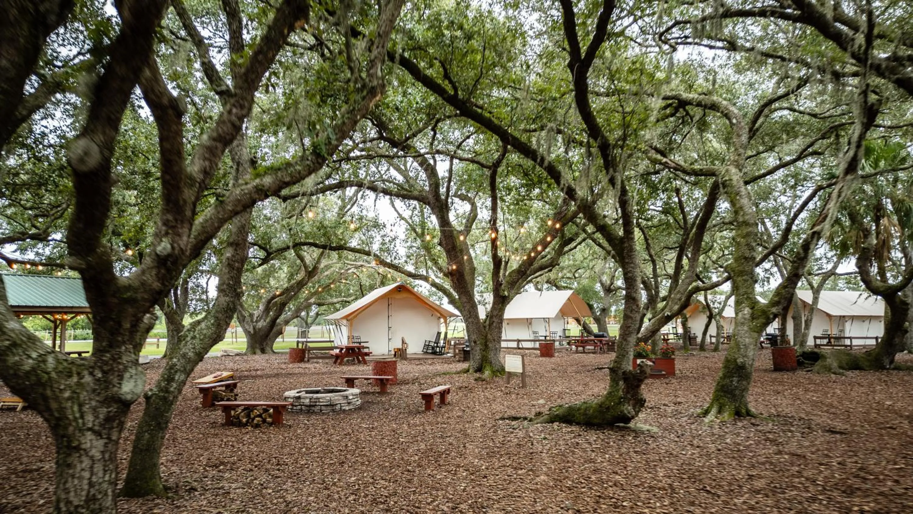 Westgate River Ranch Resort & Rodeo