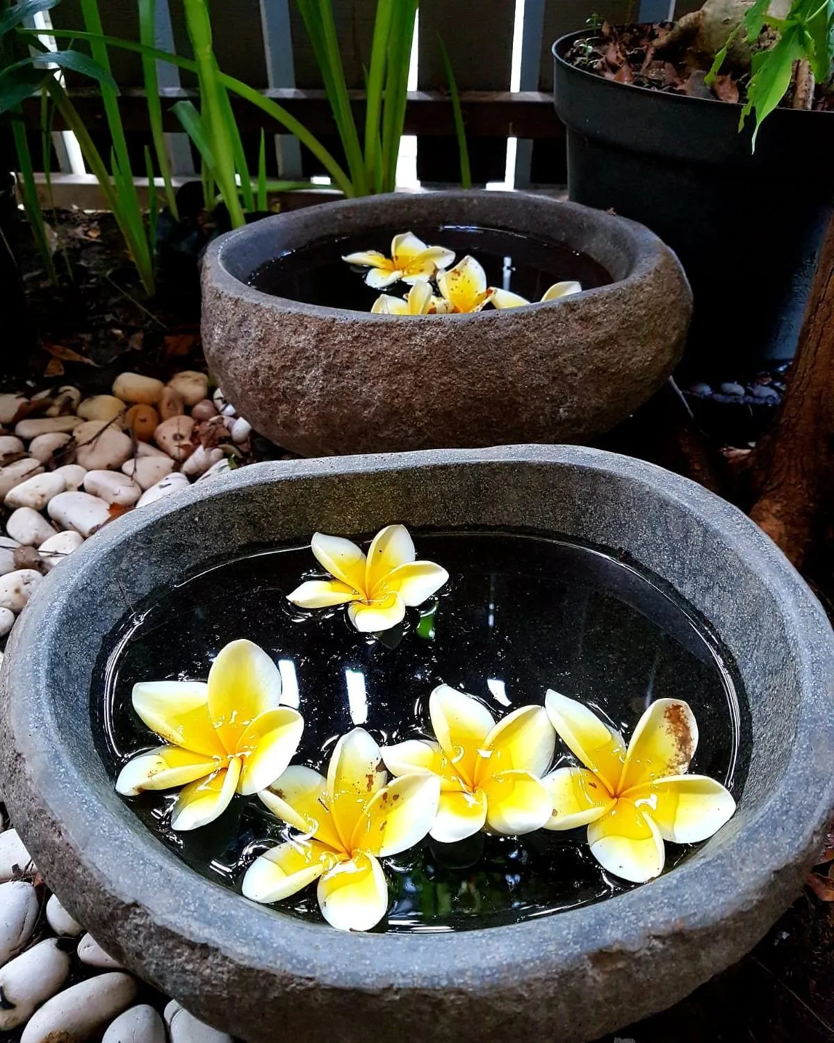 Villa Kayu Yogyakarta