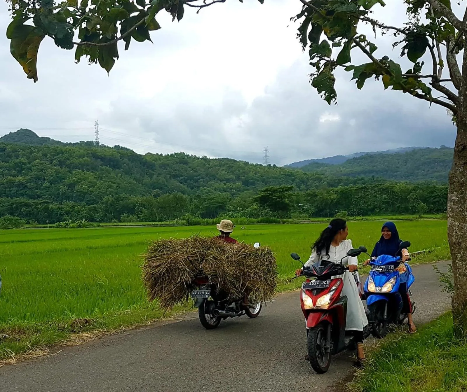 Villa Kayu Yogyakarta