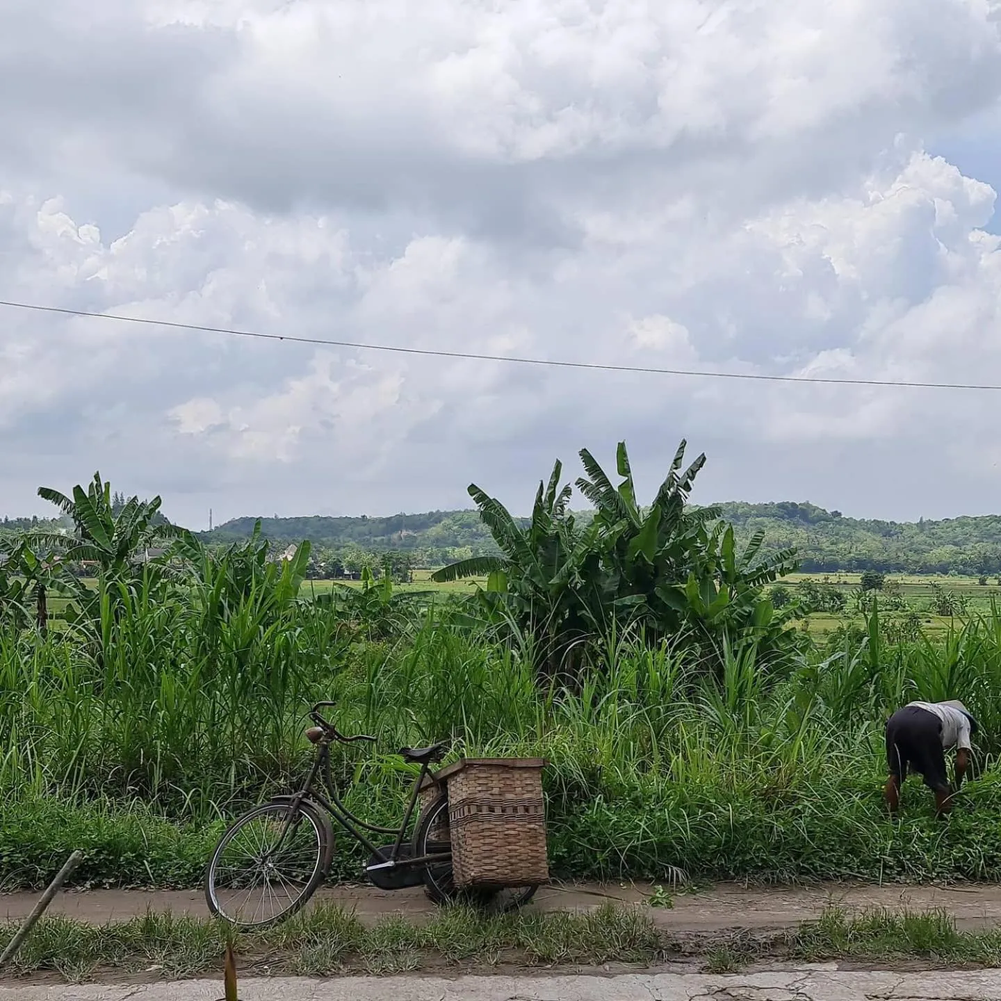 Villa Kayu Yogyakarta