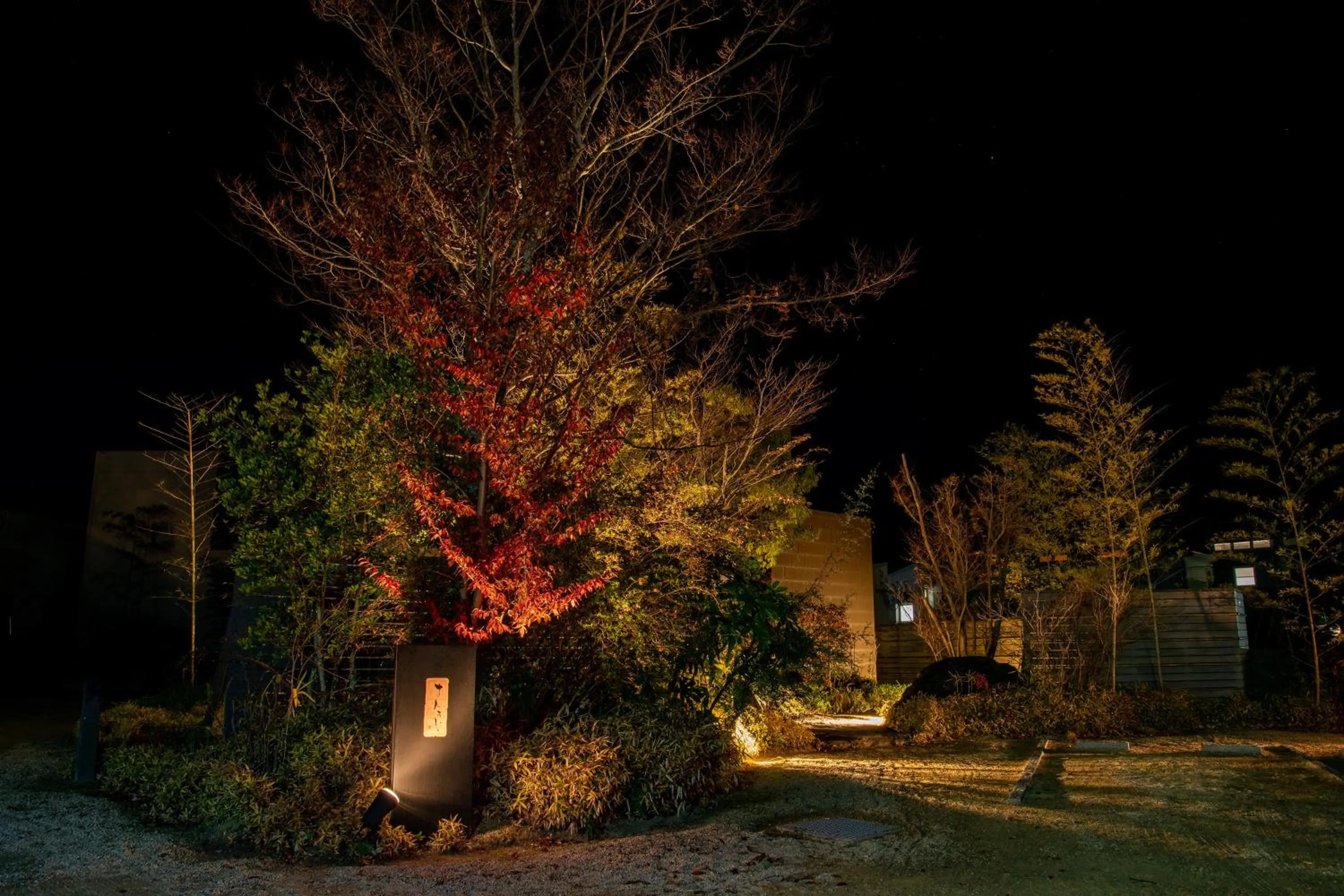 Night in Kotengu Sanroji