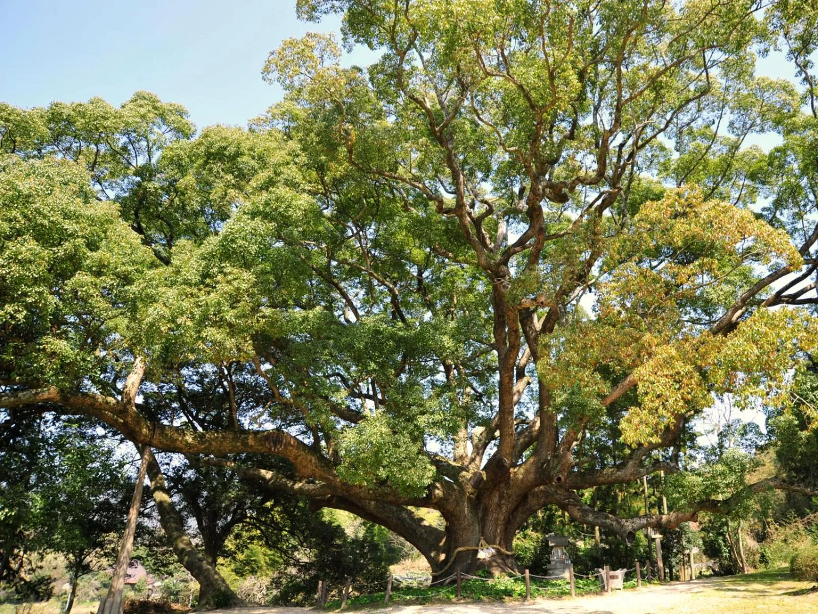 Nearby landmark in Kotengu Sanroji