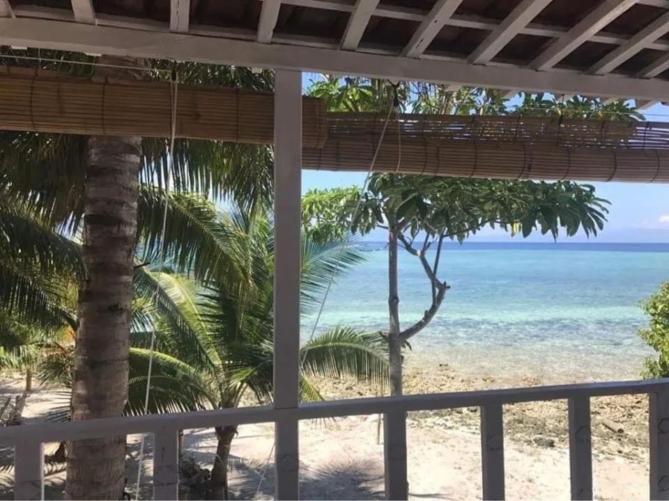 Eco dive resort Alycastre