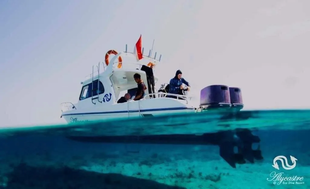 Eco dive resort Alycastre