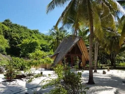 Eco dive resort Alycastre