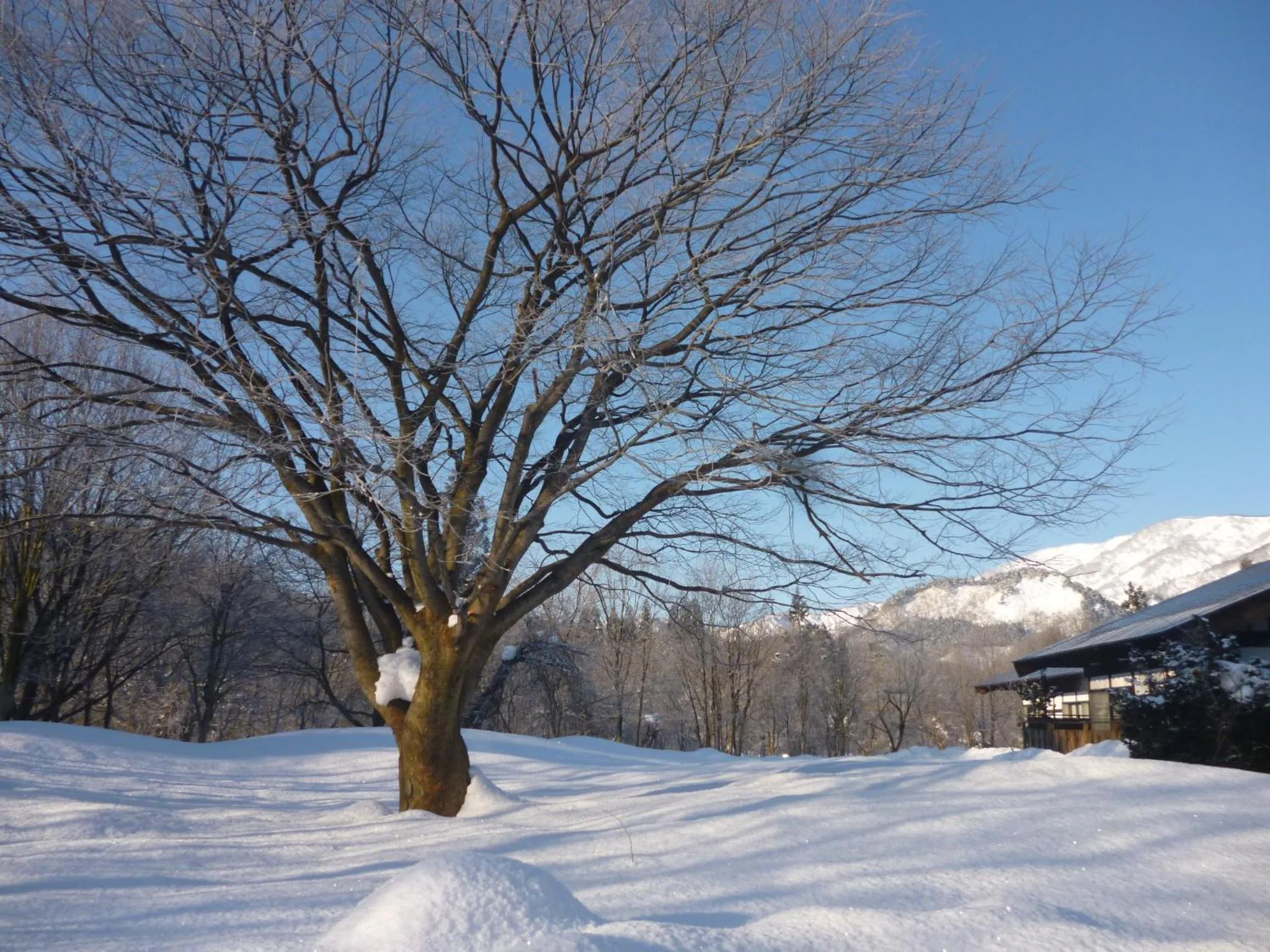 Natural landscape in Bunanoyado Koase