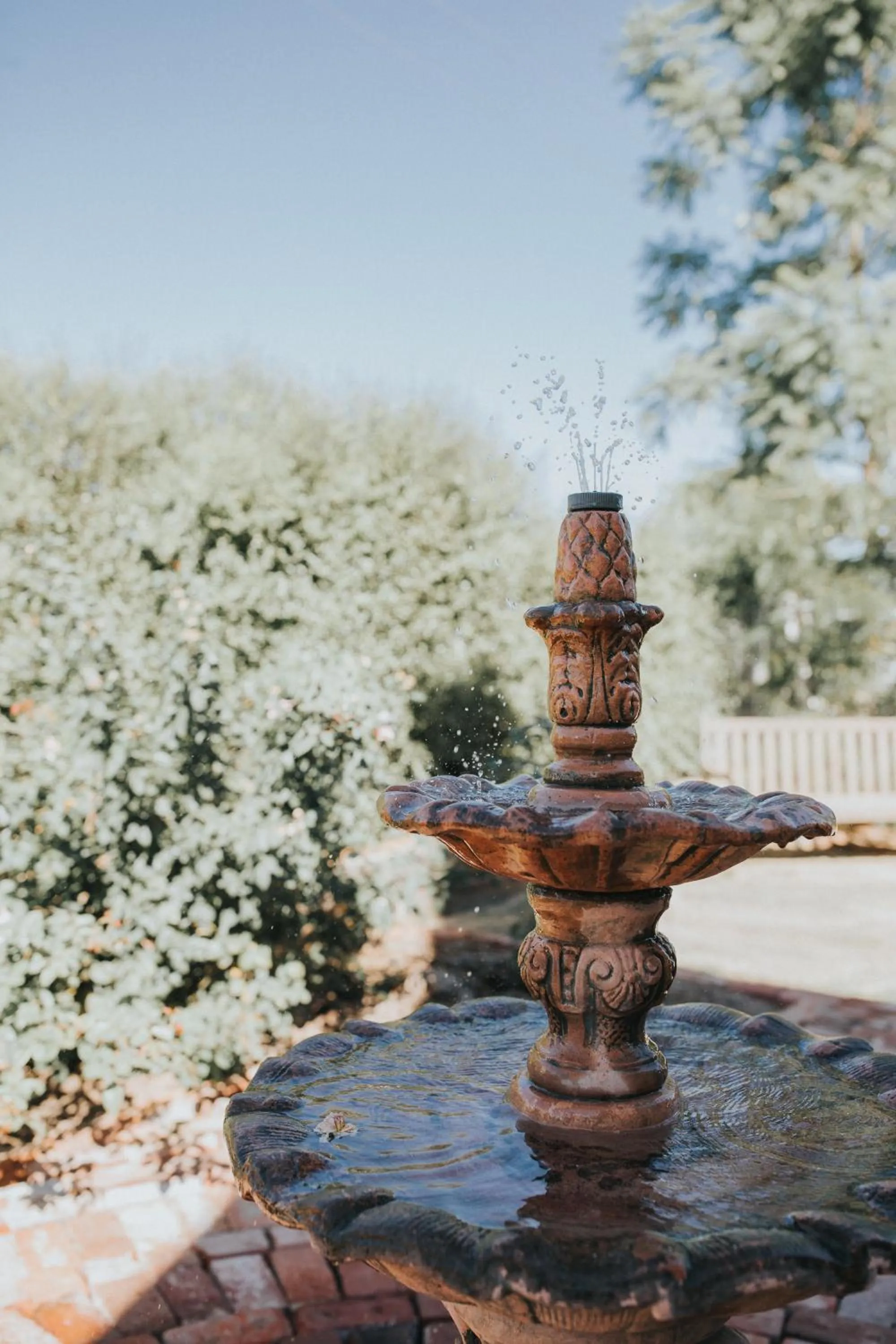Garden view in Dubuque Bed and Breakfast