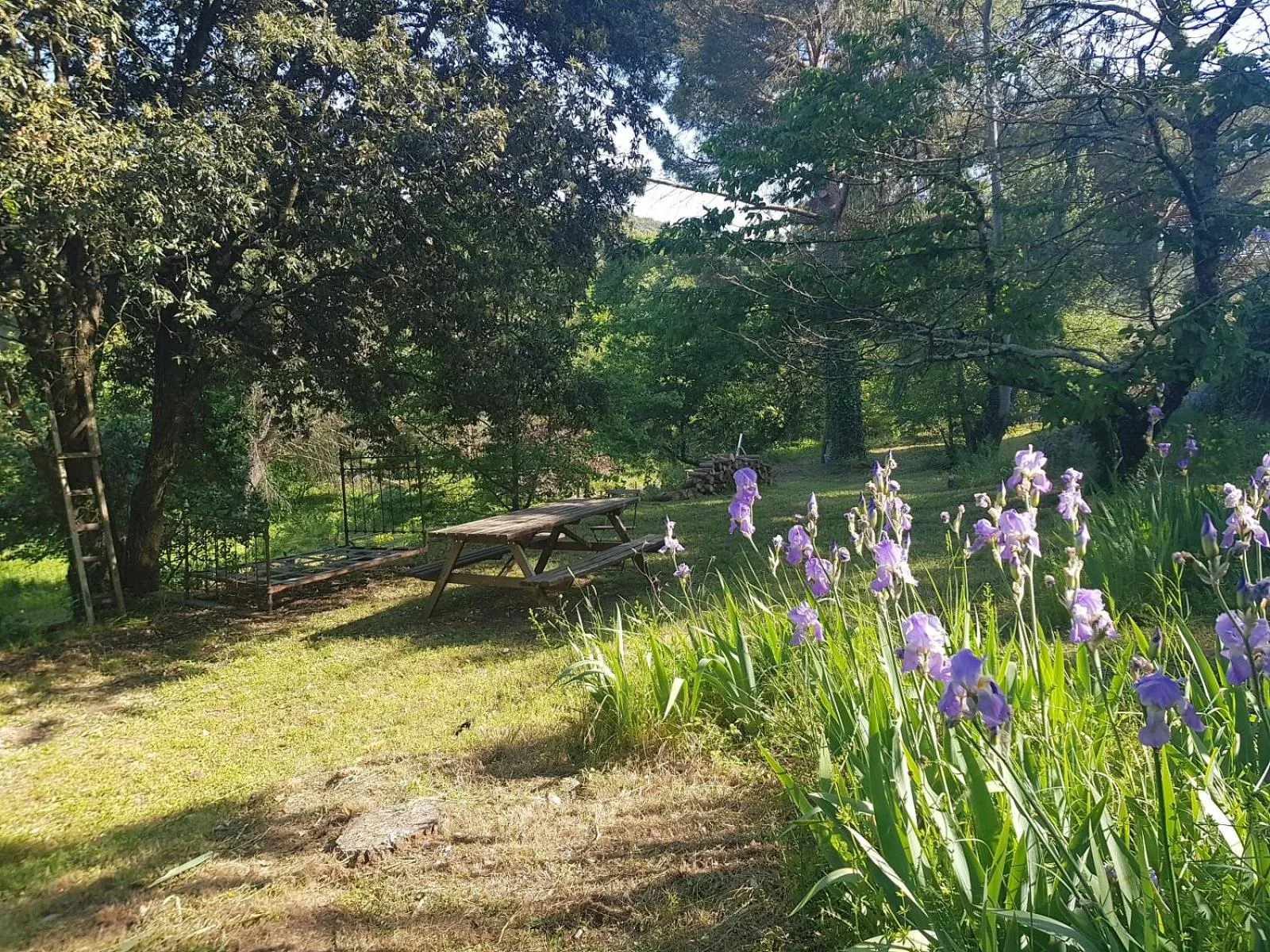 Garden in Mas des Ballats