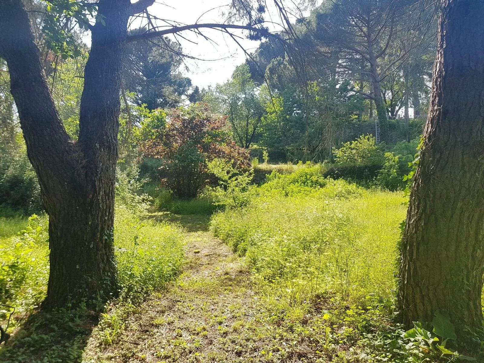 Garden in Mas des Ballats