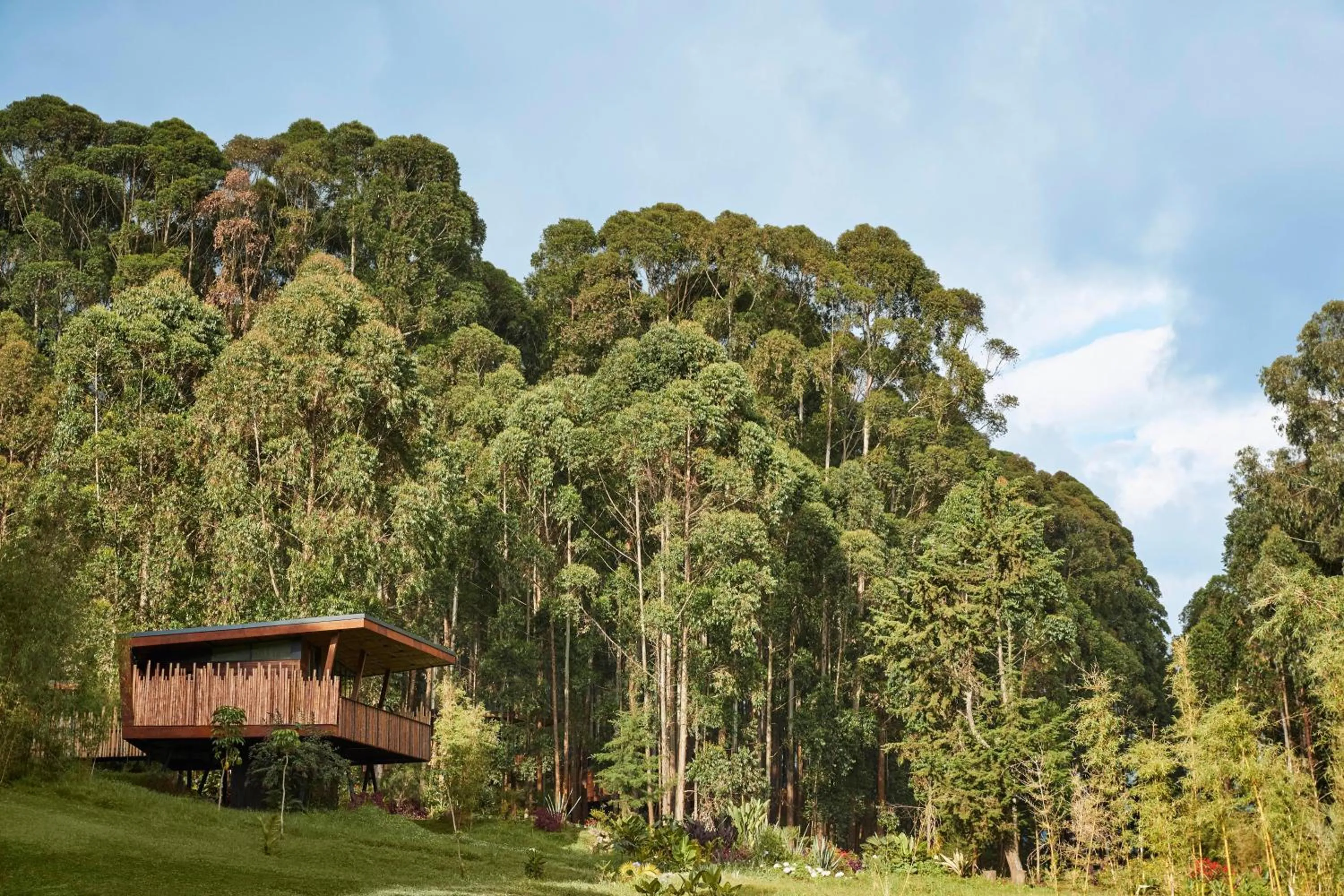 Natural landscape in One&Only Gorilla's Nest