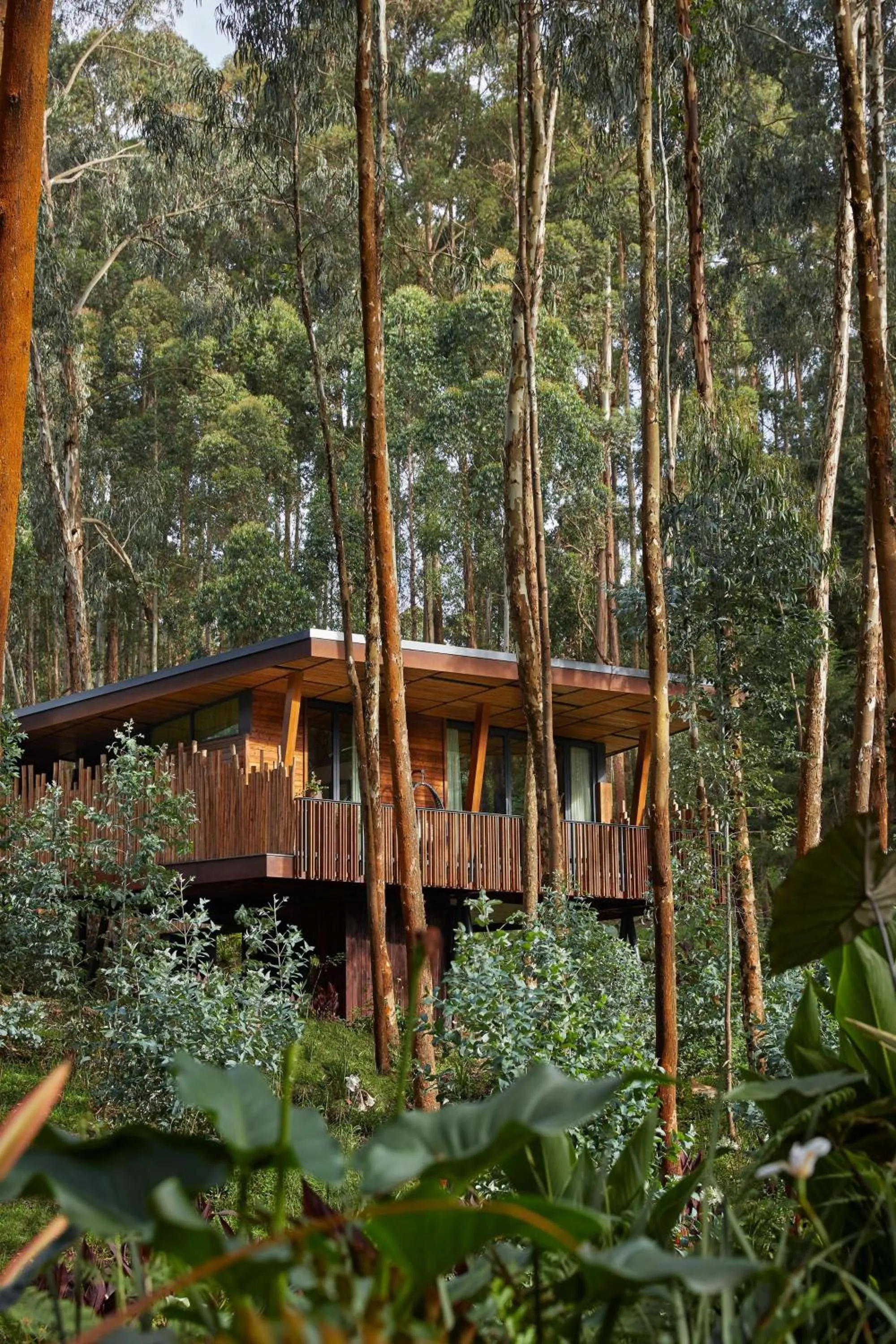 Property building in One&Only Gorilla's Nest