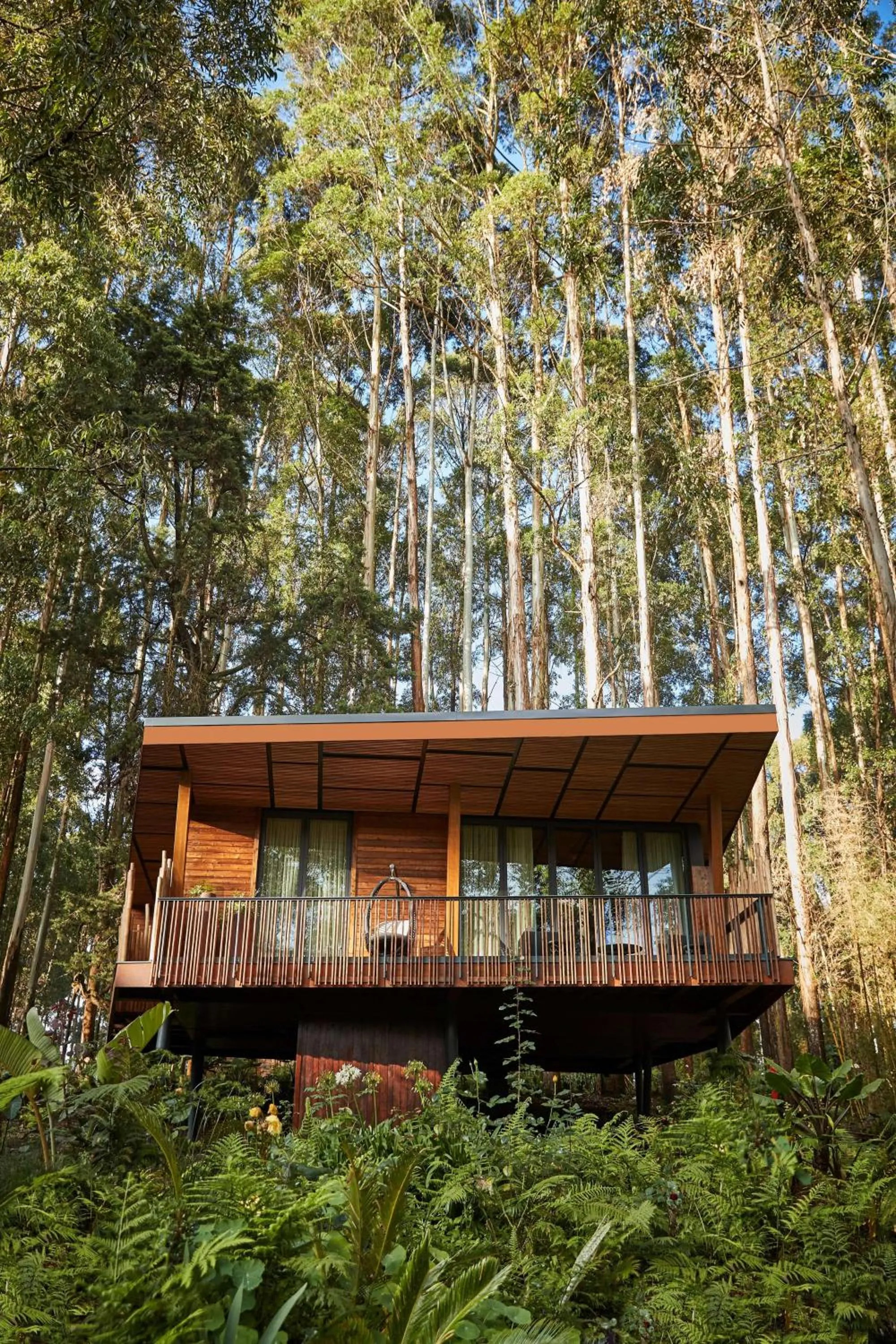 Property building in One&Only Gorilla's Nest