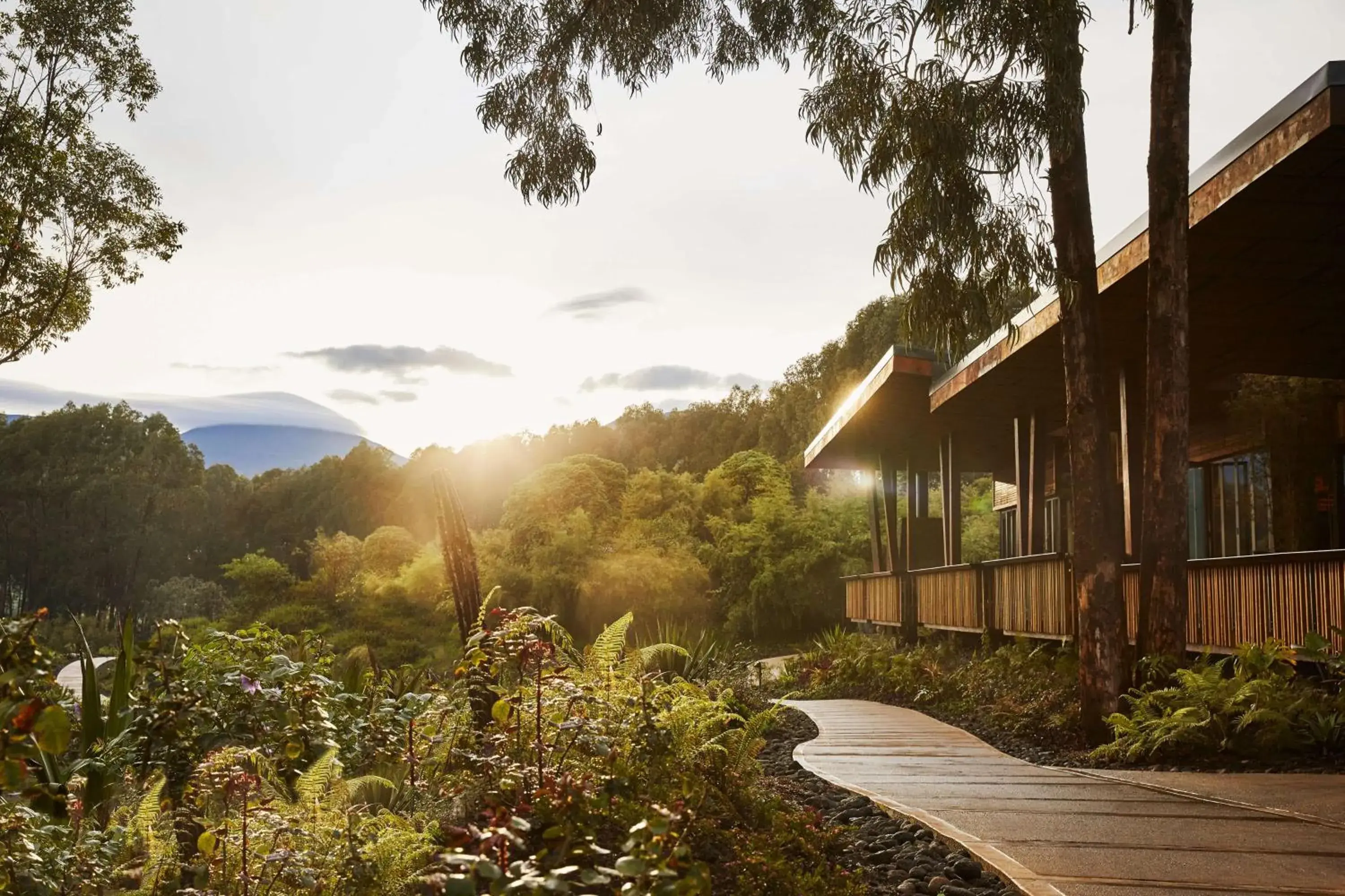 Property building in One&Only Gorilla's Nest Property building in One&Only Gorilla's Nest