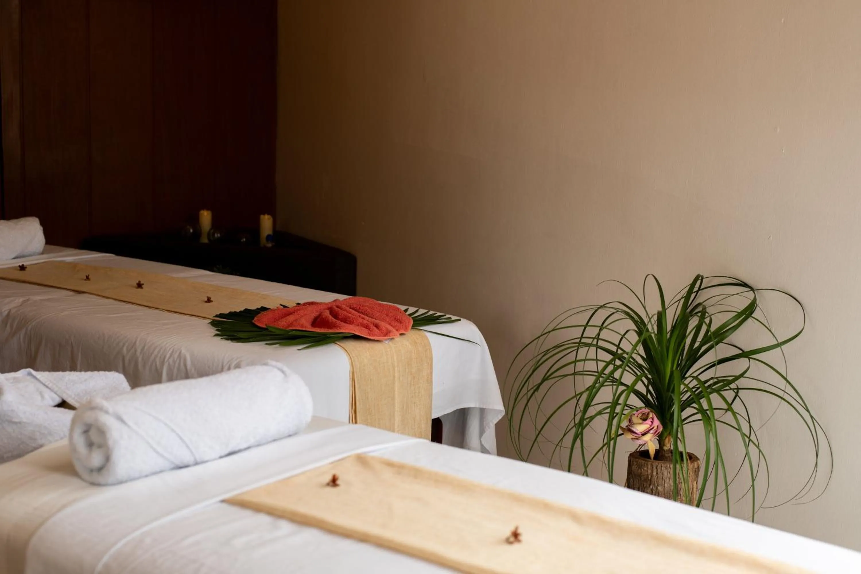 Massage, Bed in Bufo Alvarius