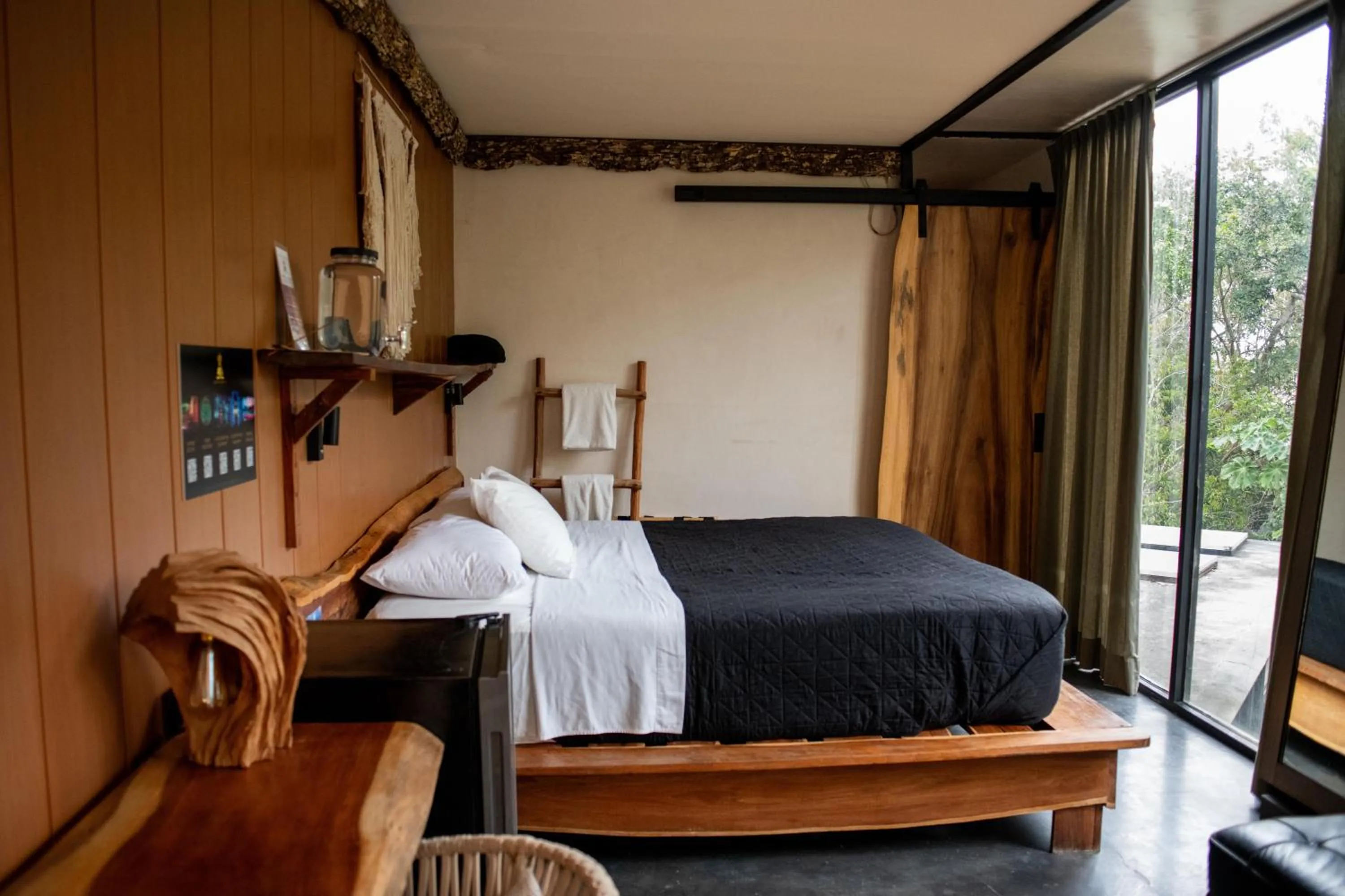 Bed in Bufo Alvarius