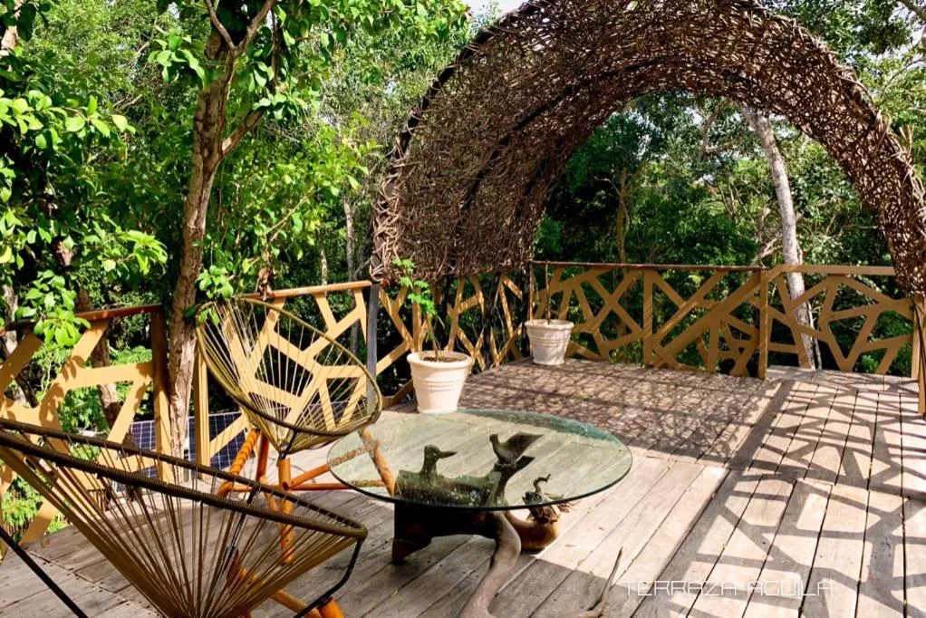 Balcony/Terrace in Bufo Alvarius