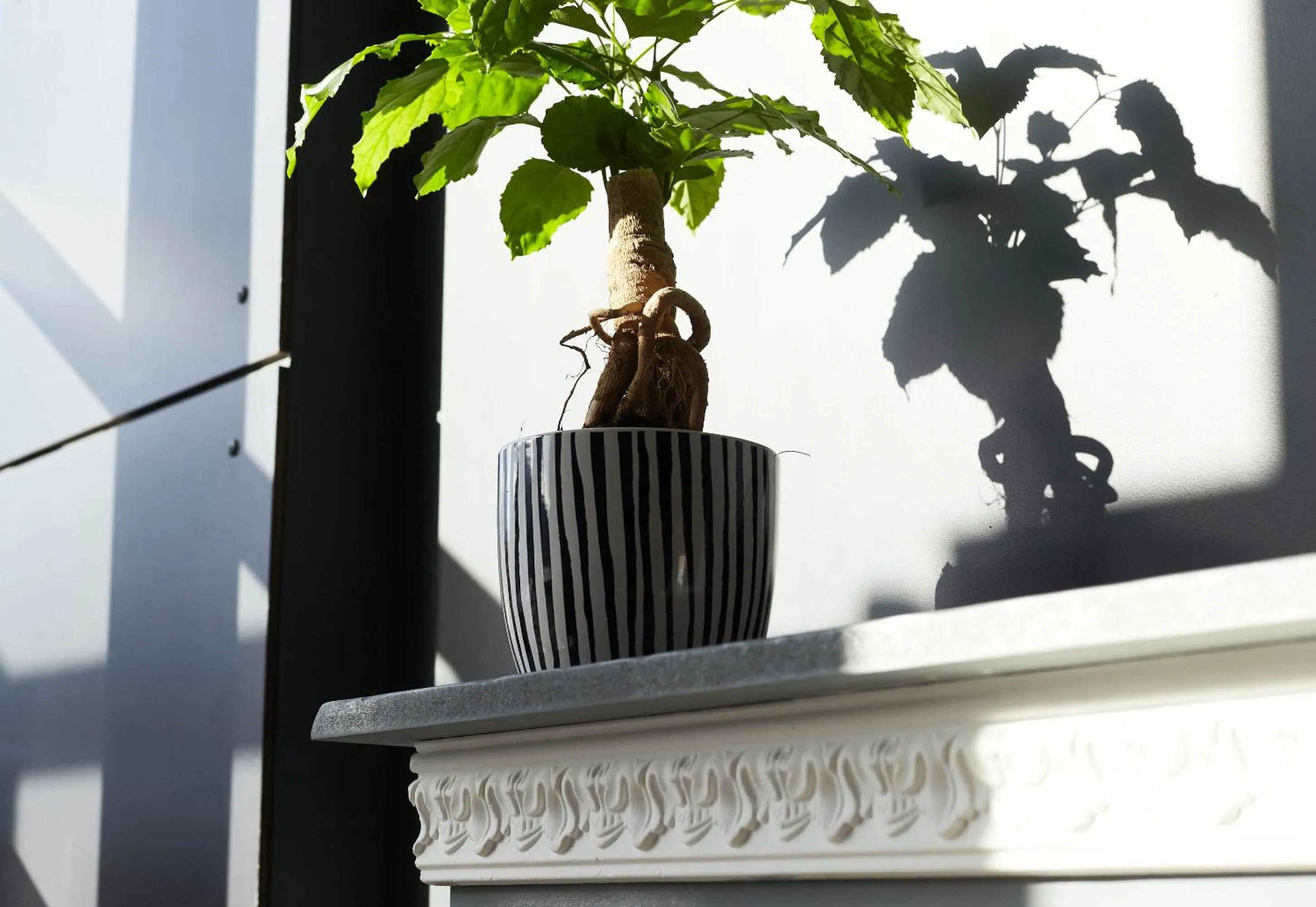 Decorative detail in B&B HOTEL Igny Palaiseau