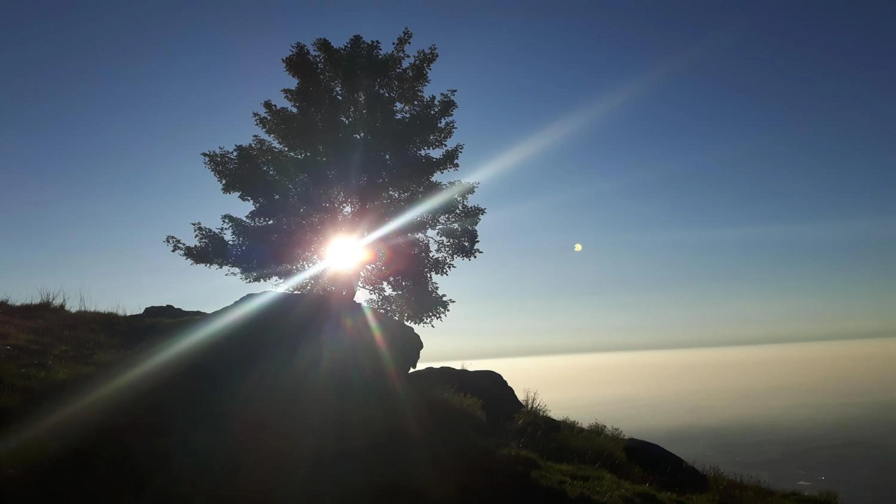 Natural landscape in B&B La Coccinella Biologico