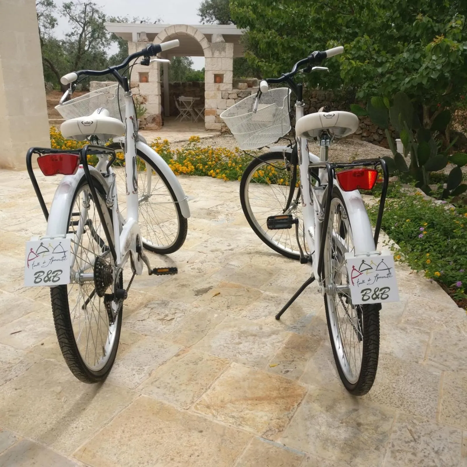 Cycling in Trulli Di Spinaruta