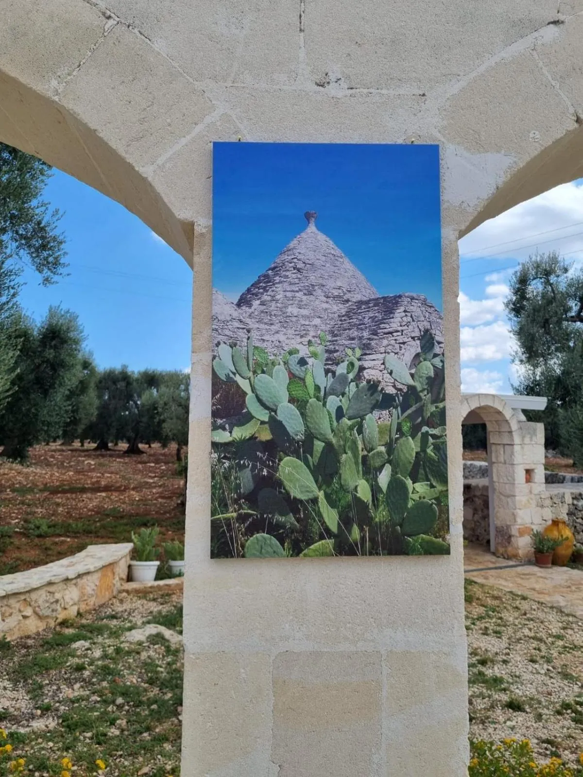 Natural landscape in Trulli Di Spinaruta