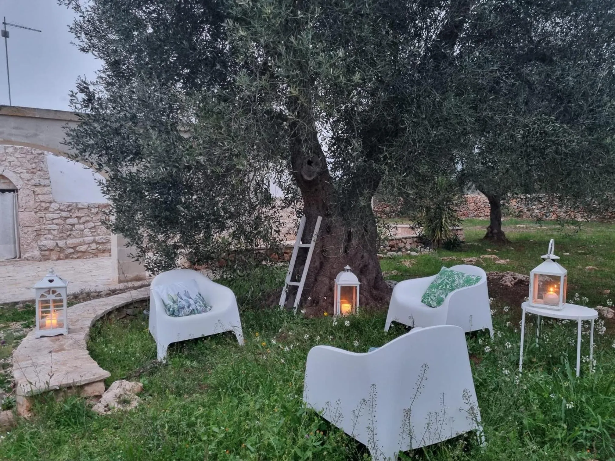 Natural landscape in Trulli Di Spinaruta
