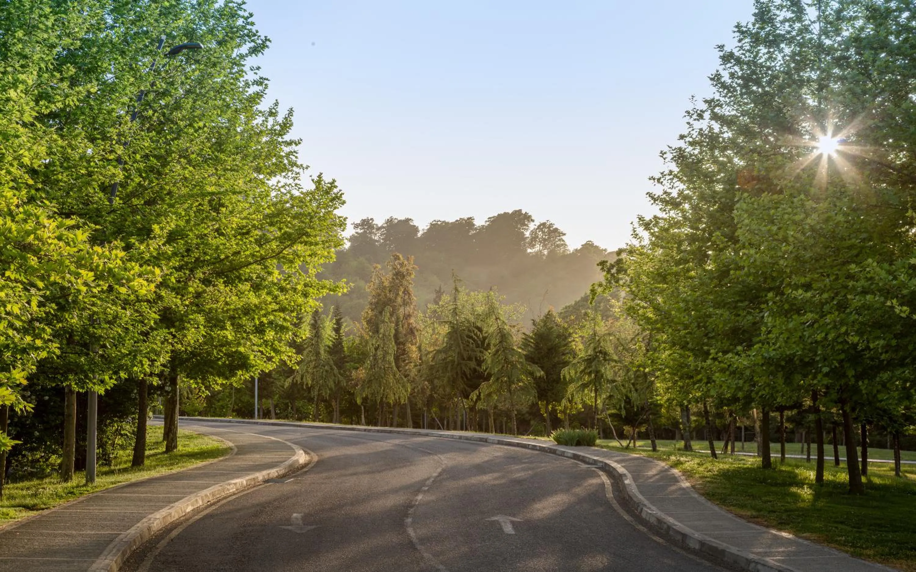 Natural landscape in Lankaran Springs Wellness Resort