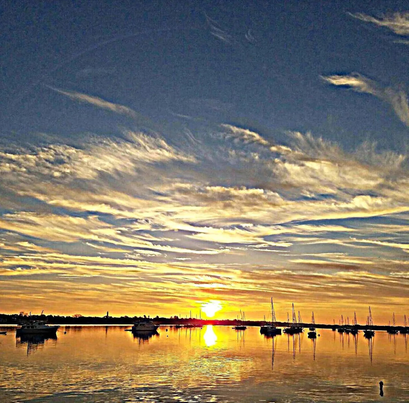 On site in Bayfront Westcott House Bed & Breakfast