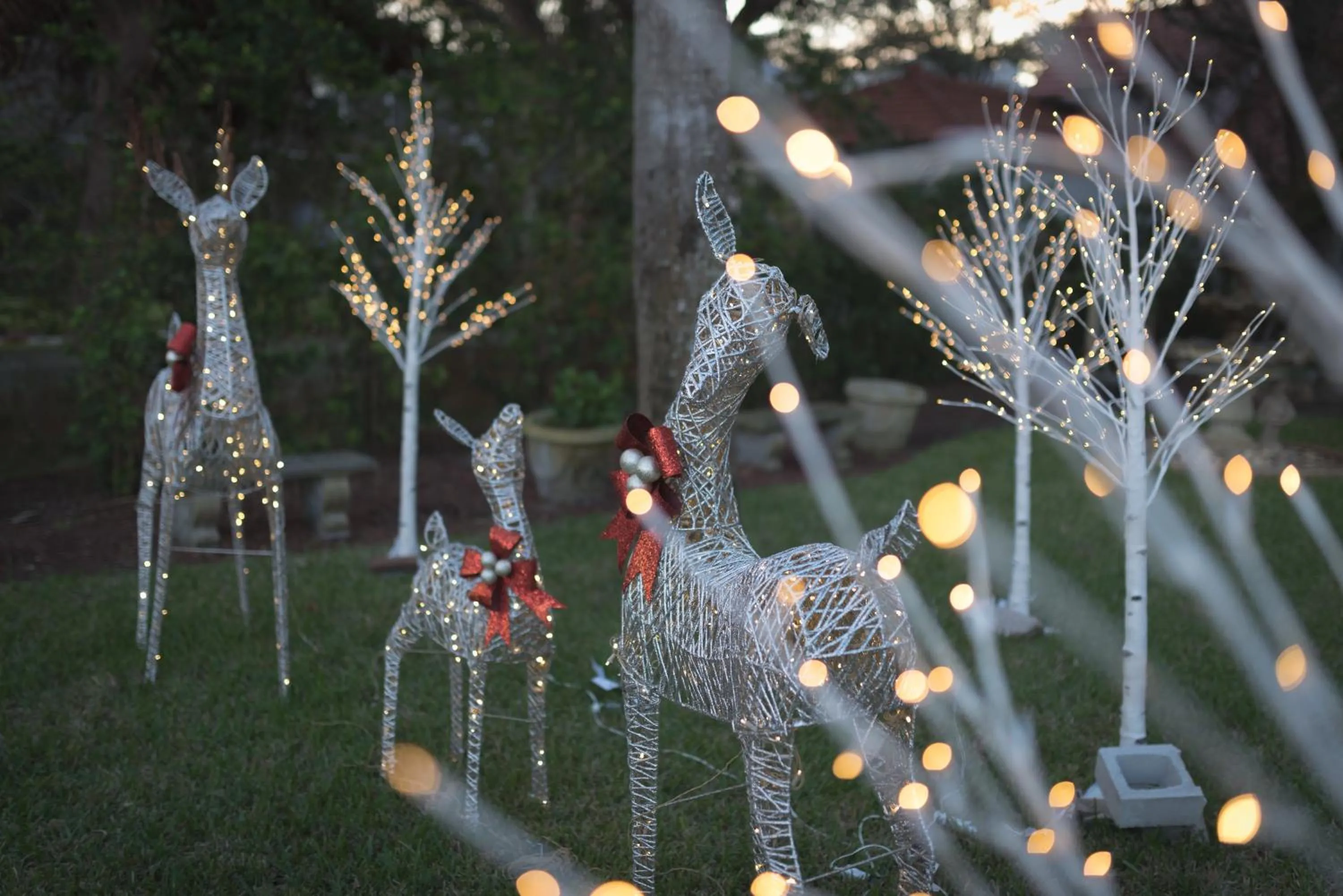 Garden in Bayfront Westcott House Bed & Breakfast